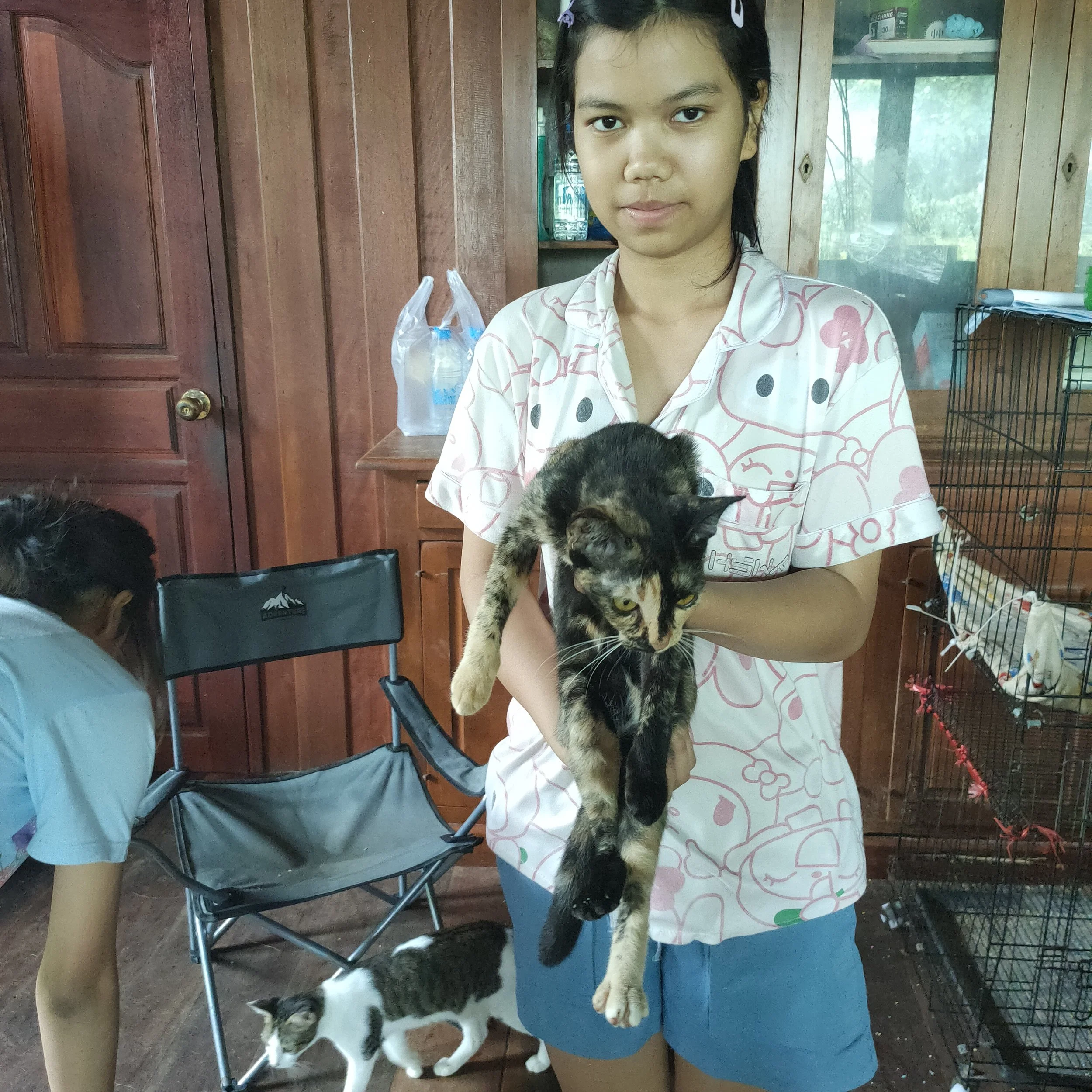 A girl with dark hair and a pink and white patterned shirt holding a black and white kitten, sitting in a wooden room with a closed wooden door, a plastic bag, and some cages in the background.