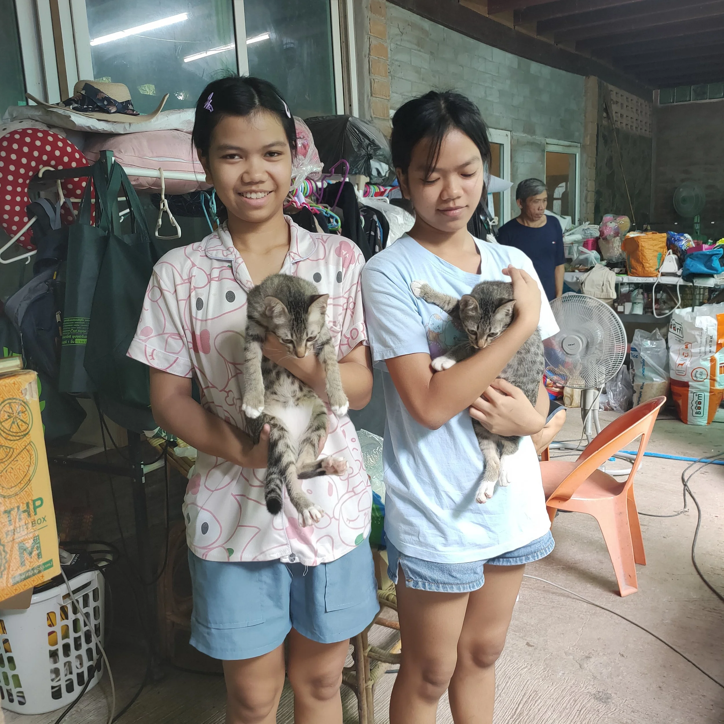 Two young women standing side by side, each holding a gray tabby kitten. They are in an indoor space with various household items, bags, and laundry in the background.
