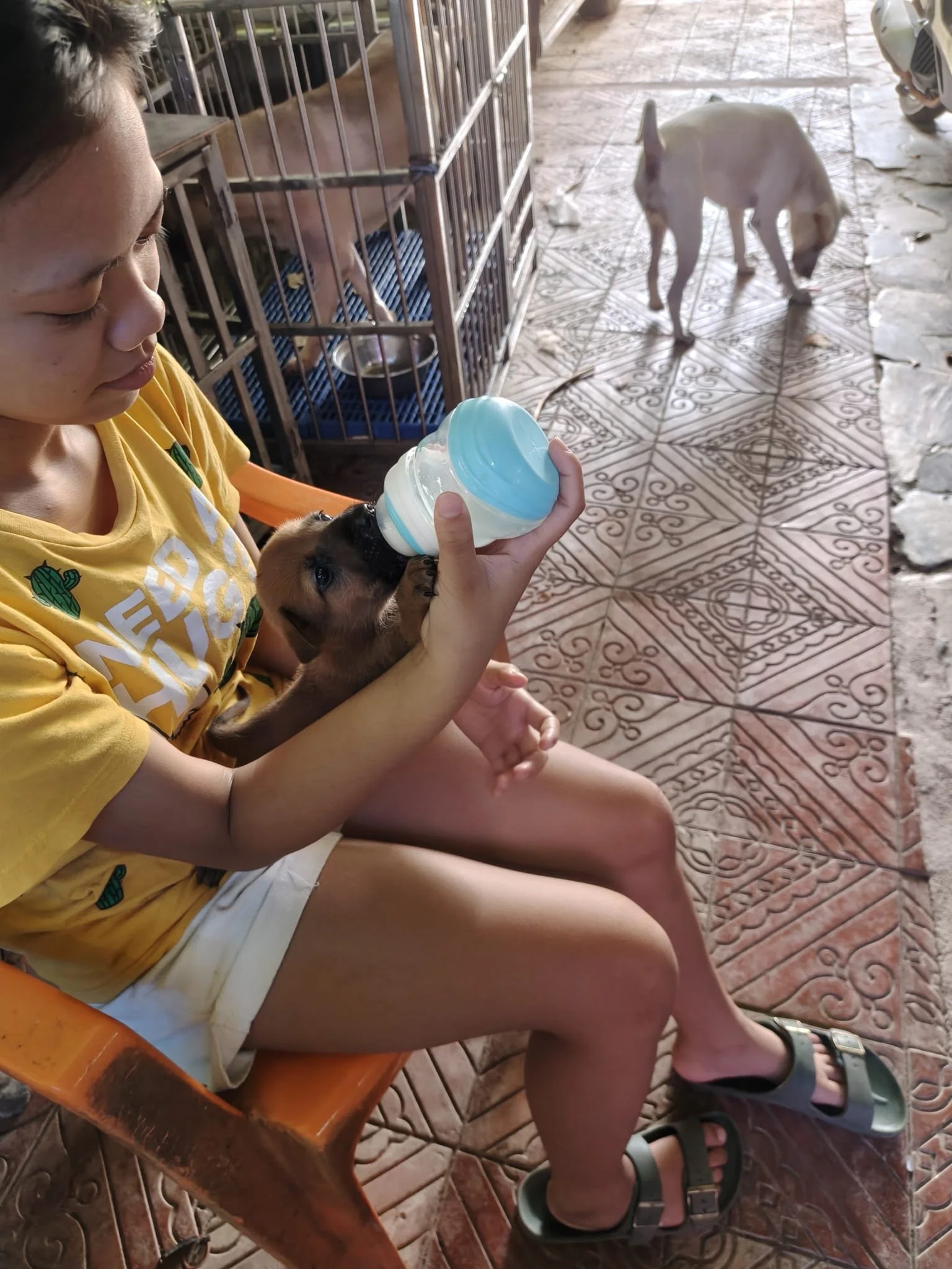 WhatsApp Image 2026-06-10 at 08.41.26.jpeg