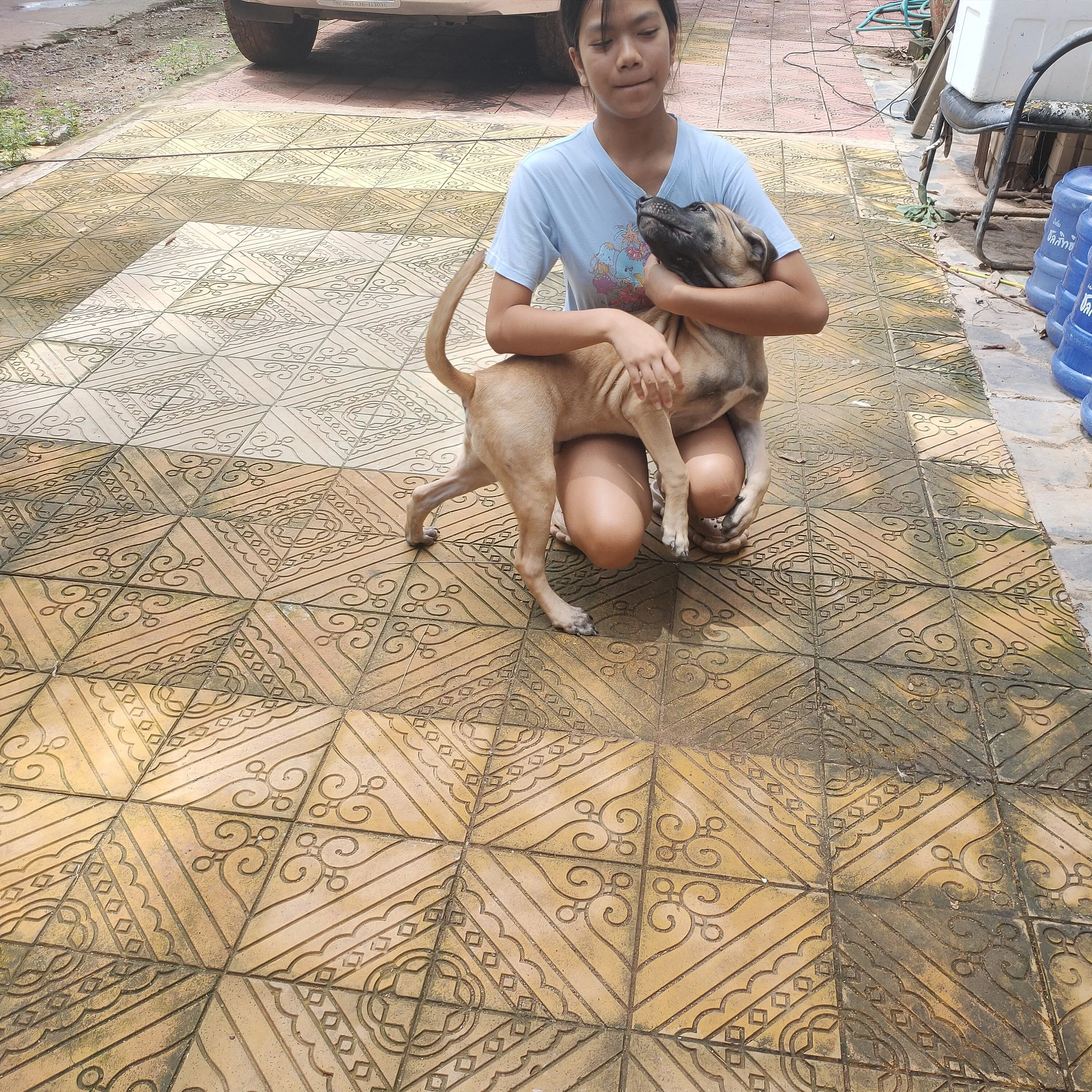 A girl in a light blue shirt sitting on the ground holding a brown puppy in her arms in an outdoor setting with patterned tile flooring and various objects in the background.