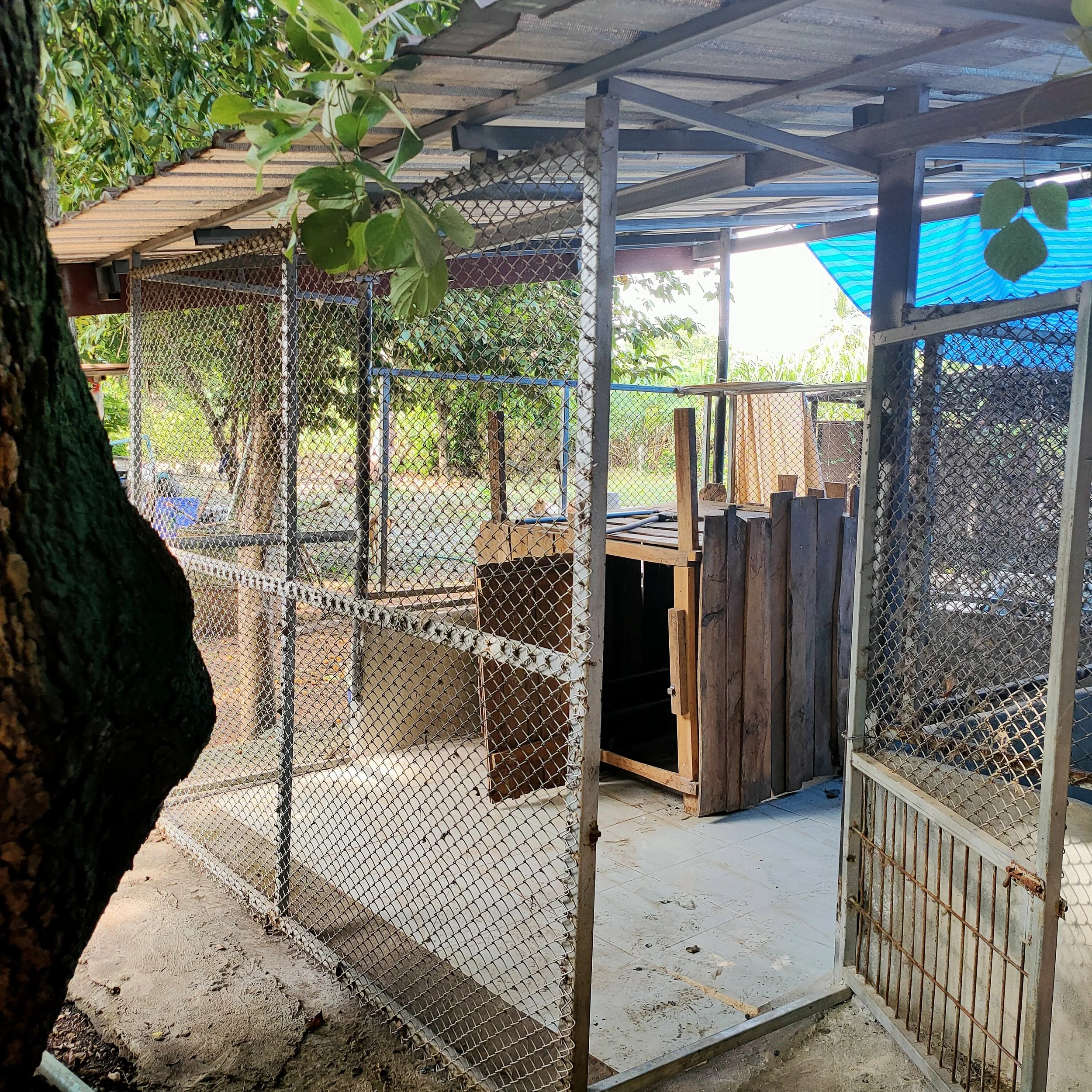 A construction site enclosed by a chain-link fence, with wooden and metal structures under a corrugated metal roof, surrounded by greenery and trees.