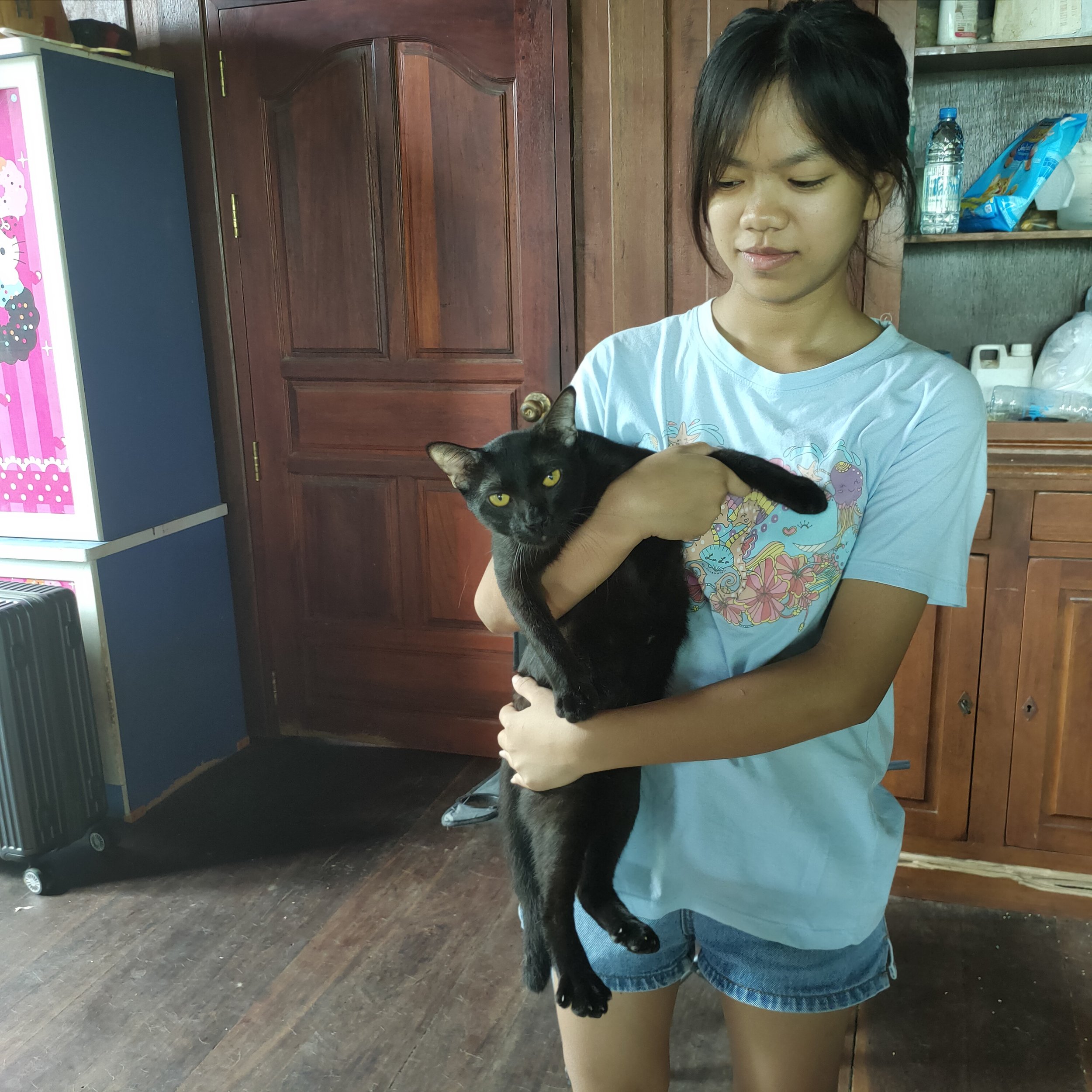 A young woman with short dark hair holding a black and white cat in a room with wooden walls and shelves.