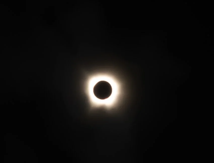 I follow you everywhere