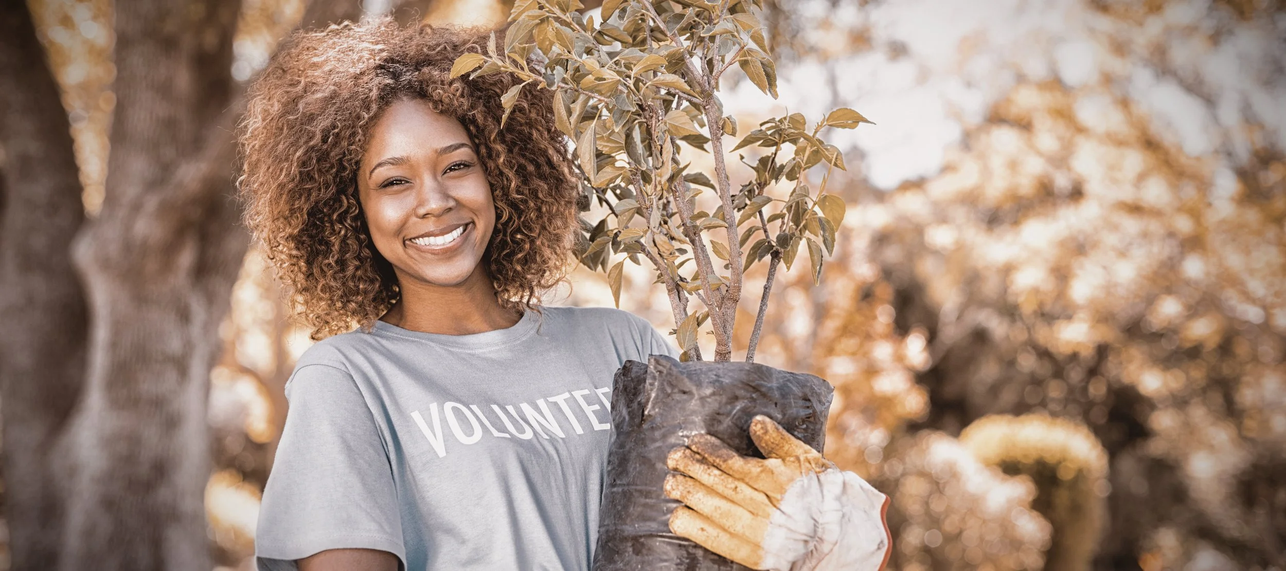 A smiling young woman with curly hair holding a young tree in a black plastic bag, outdoors in a park with autumn-colored trees in the background. She is wearing a light gray t-shirt with the word 'VOLUNTEER' printed on it and gardening gloves.