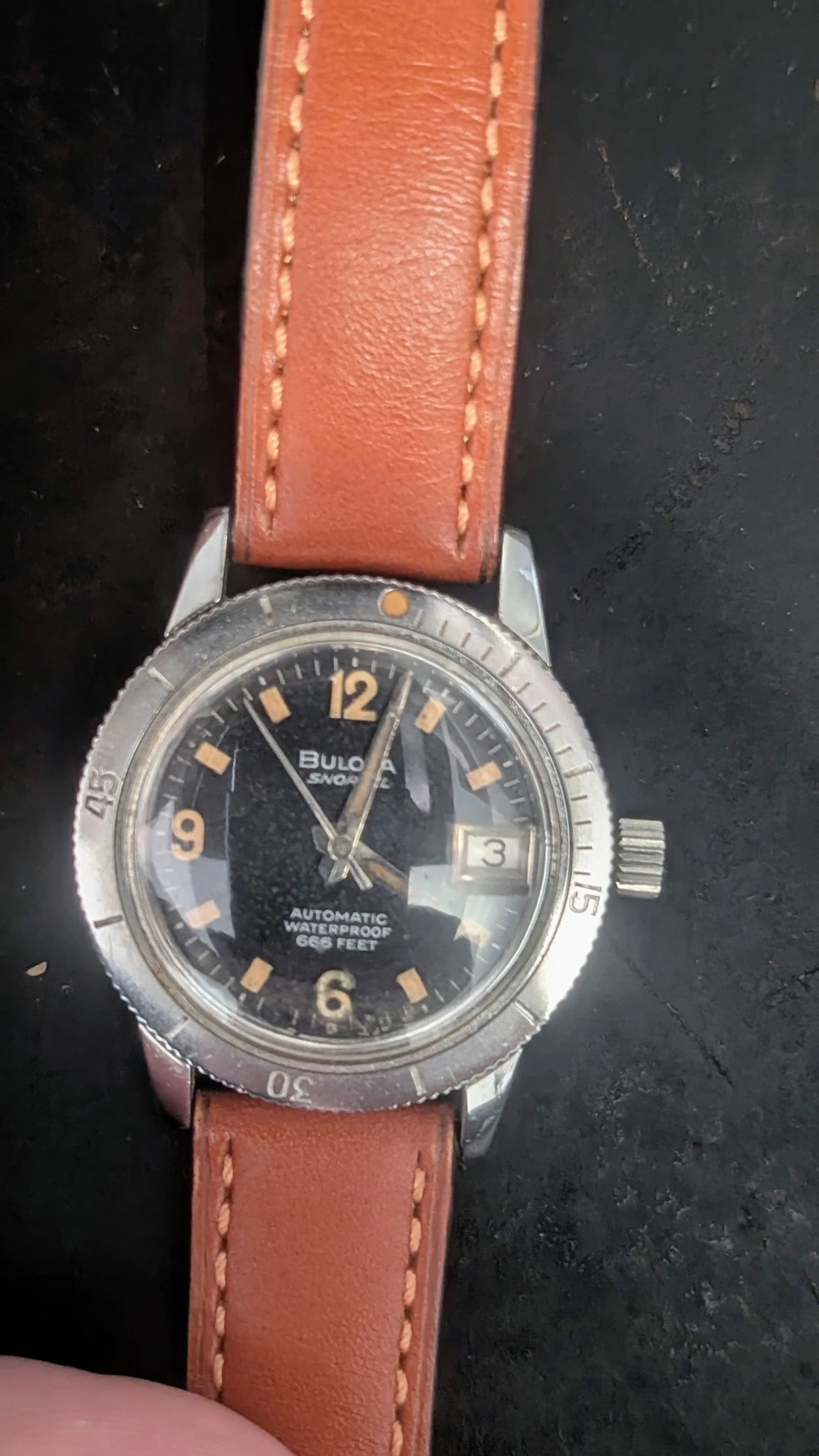 PXL_20260131_121424622.PORTRAIT.ORIGINAL~2 (1).jpg