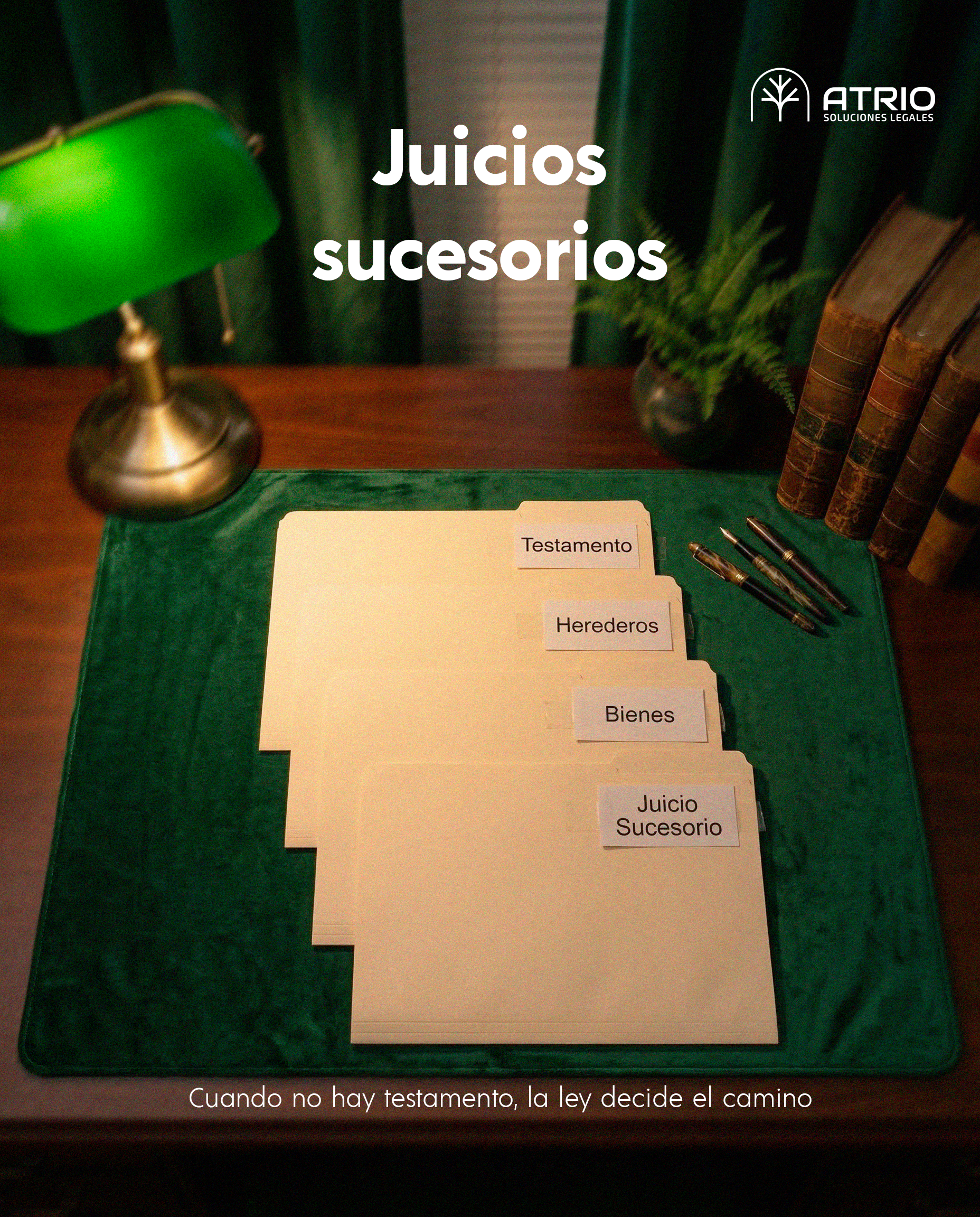 Tipos de Juicio Sucesorio