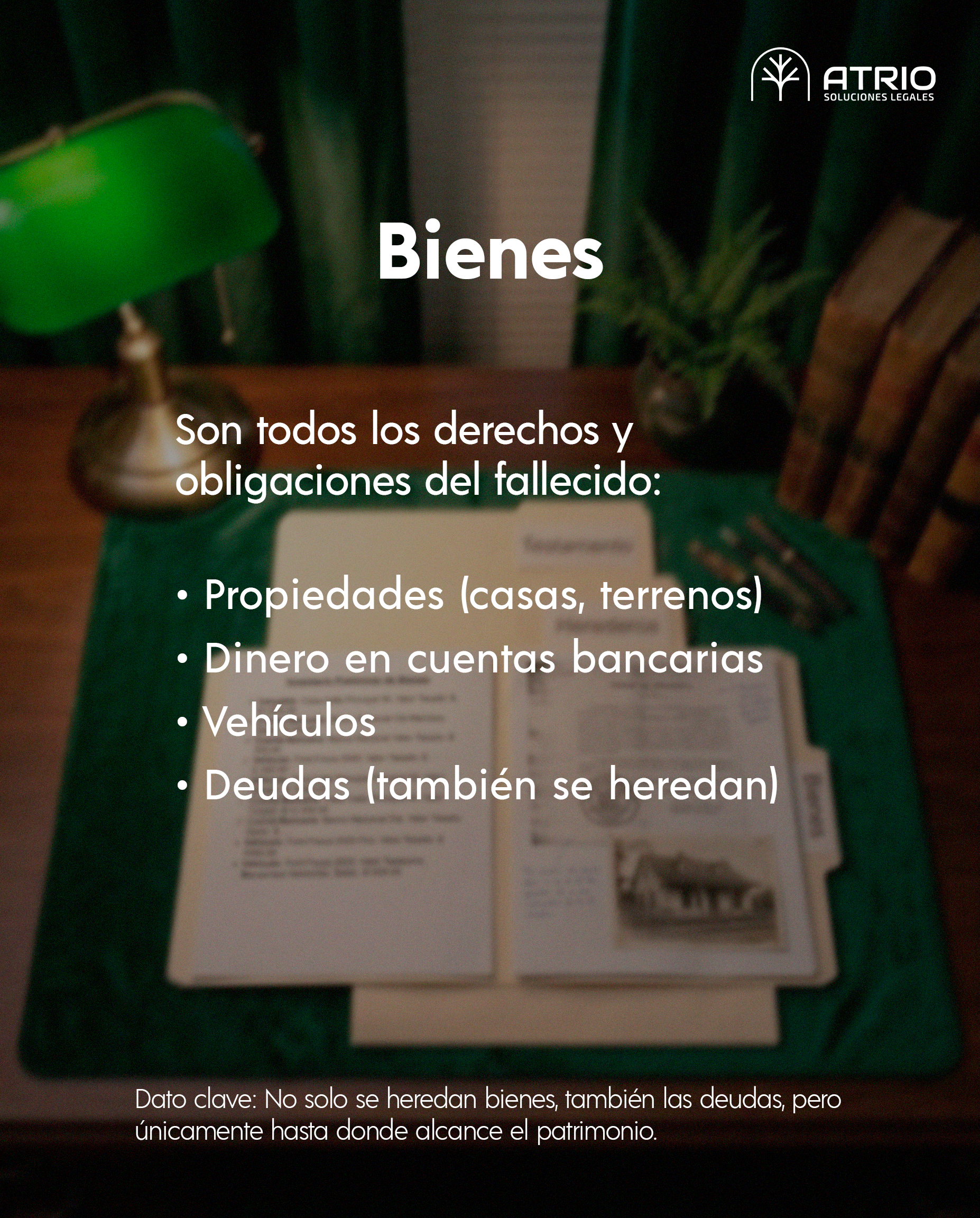 3. Bienes.png