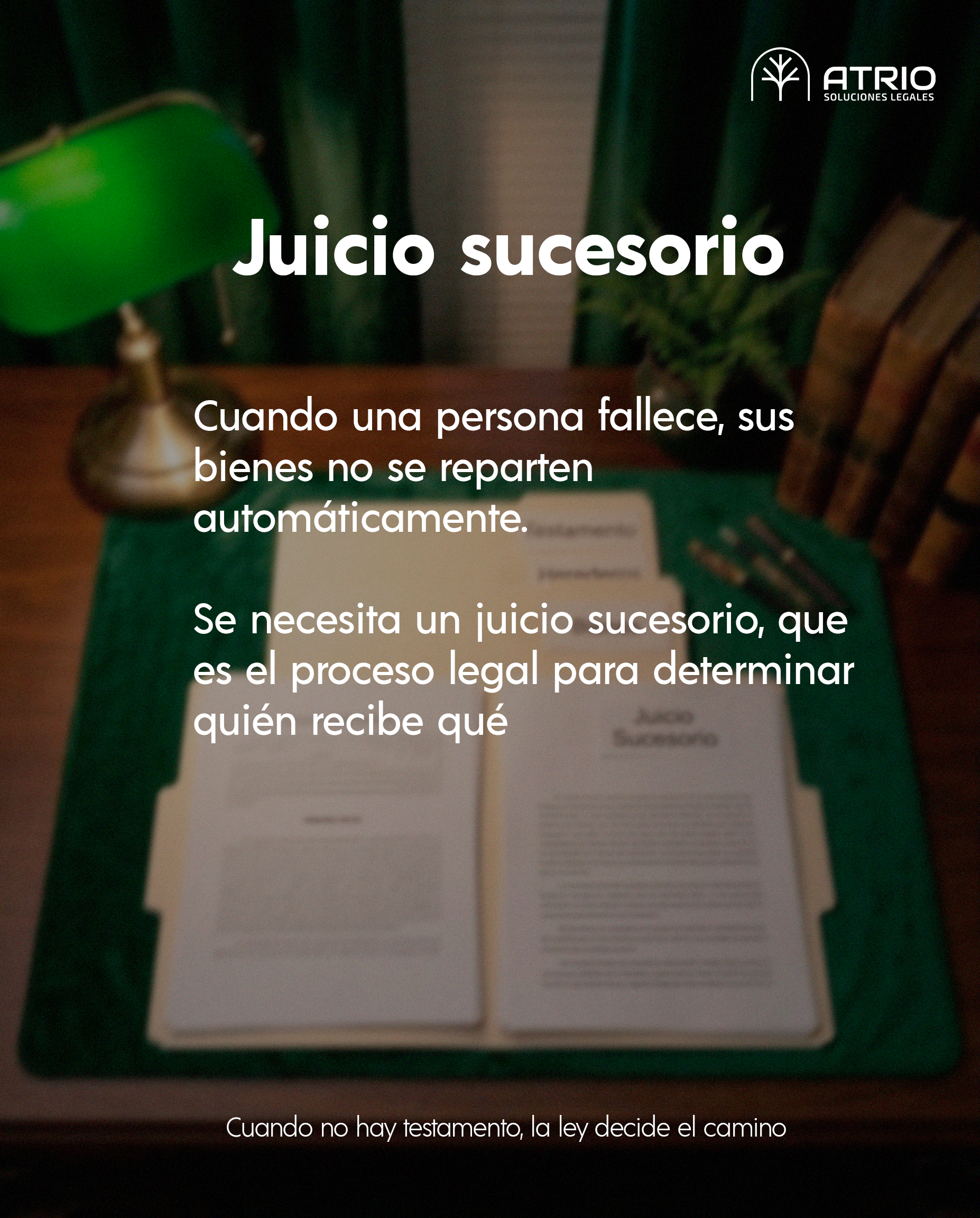 2. Juicio Sucesorio.png