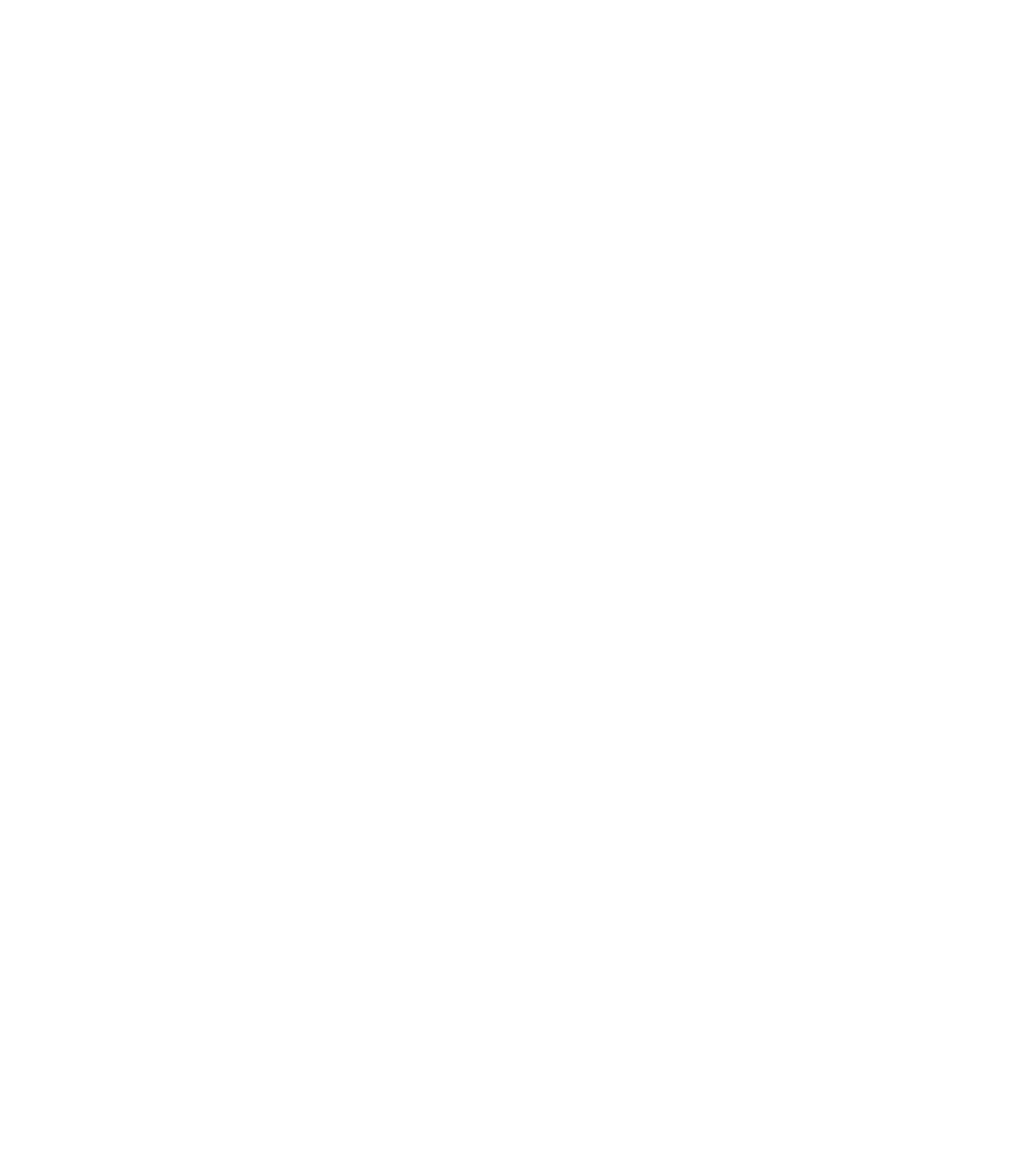 No se puede ver la imagen claramente.