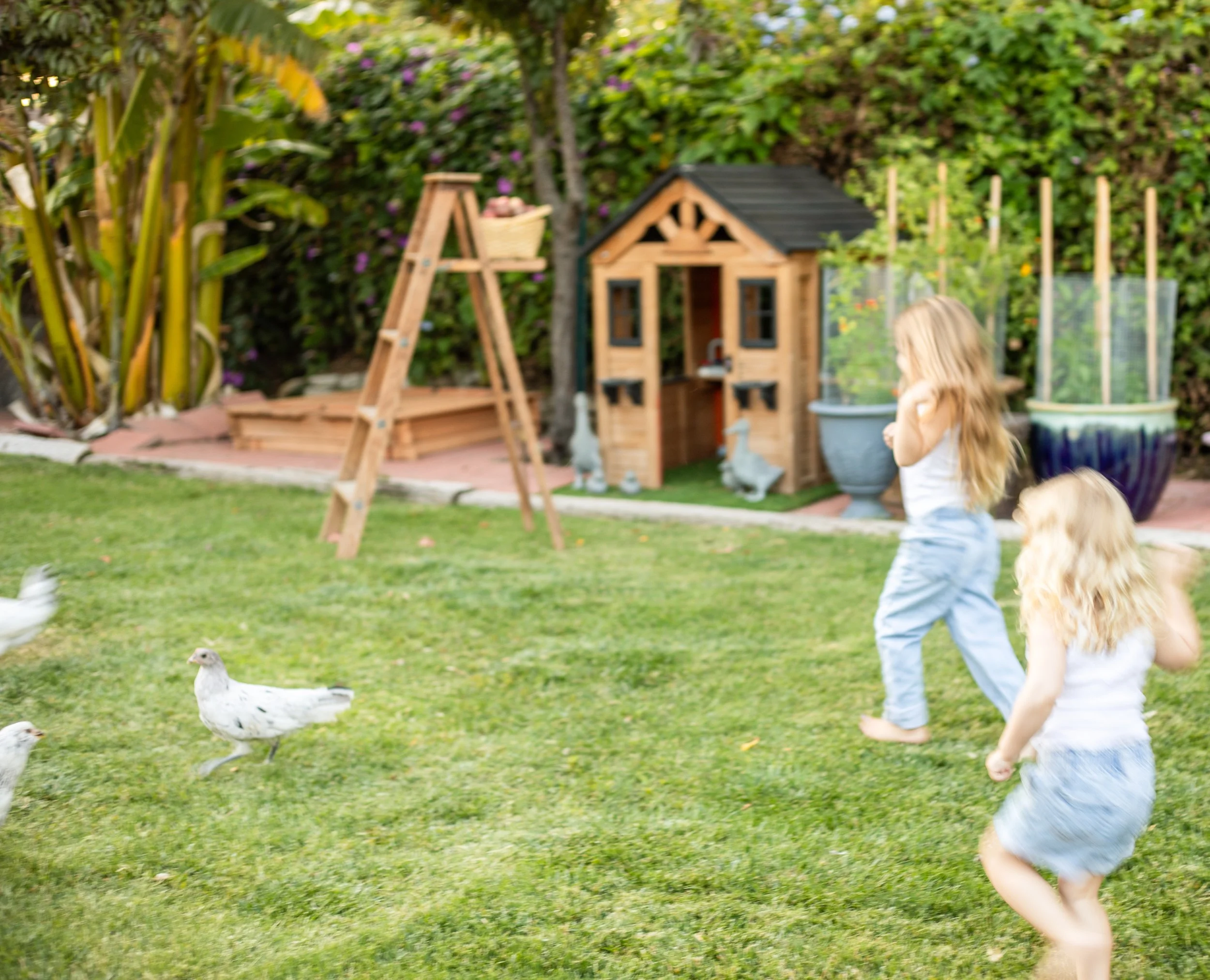 Two young children with long blonde hair playing in a backyard with green grass, chasing white and gray chickens. In the background, there is a wooden playhouse with a black roof, a ladder, and large potted plants along with a hedge and trees.