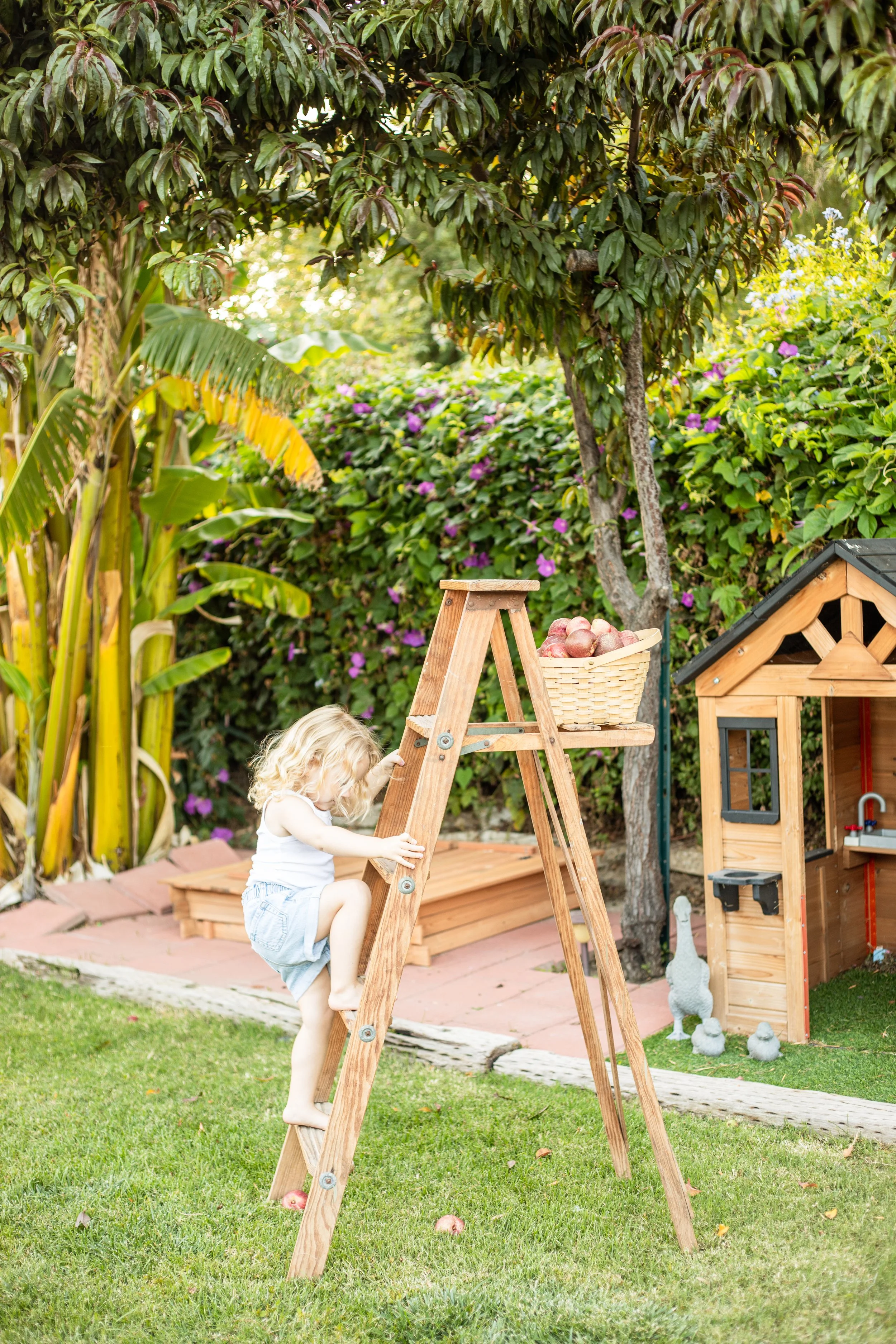 A young girl with blonde curly hair climbing a wooden ladder in a garden, with a basket of apples on top of the ladder. There is a wooden playhouse and lush green plants, trees, and colorful flowers in the background.