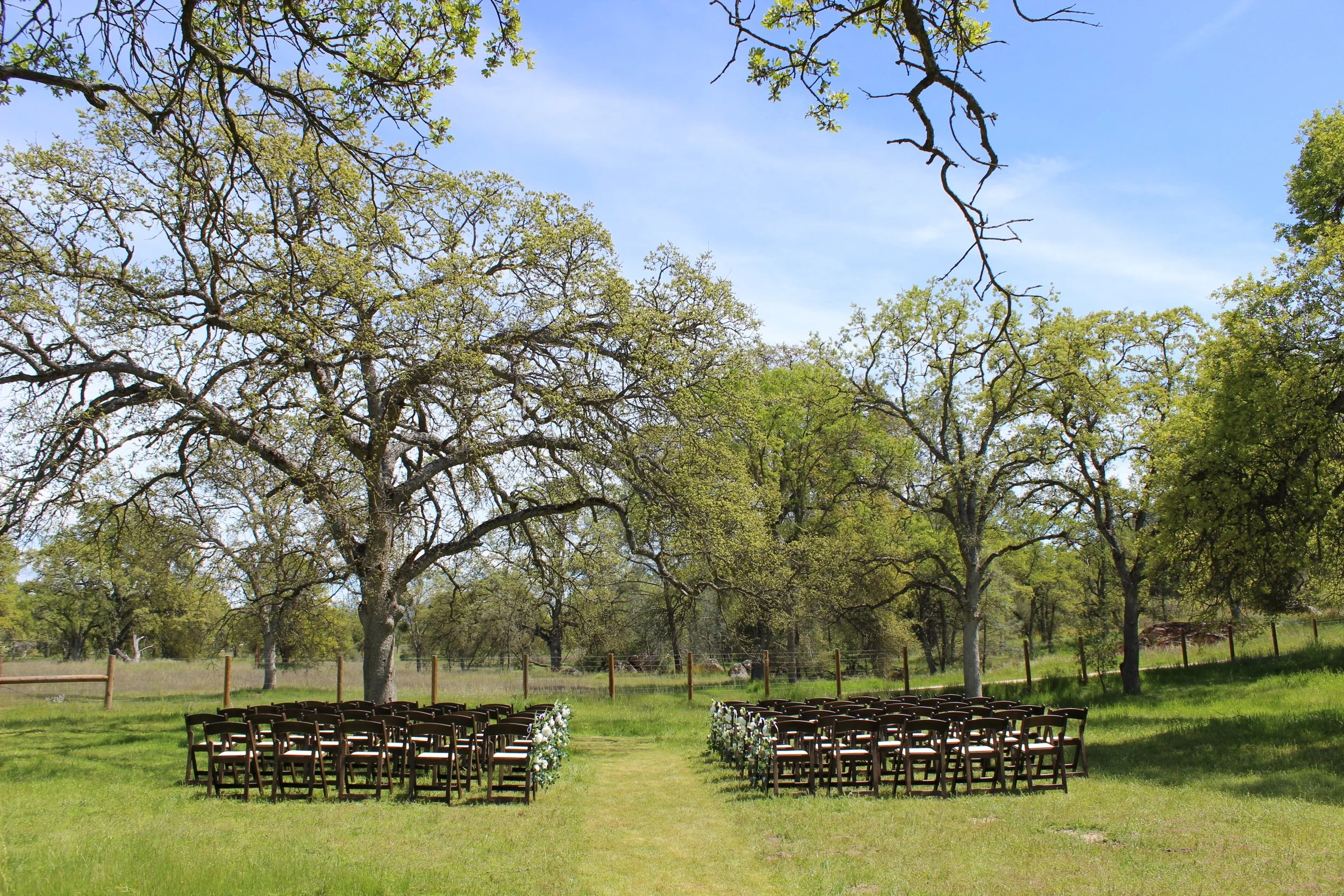 Outdoor wedding ceremony setup with rows of wooden chairs decorated with flowers, set on a grassy area under large green trees on a bright, sunny day.