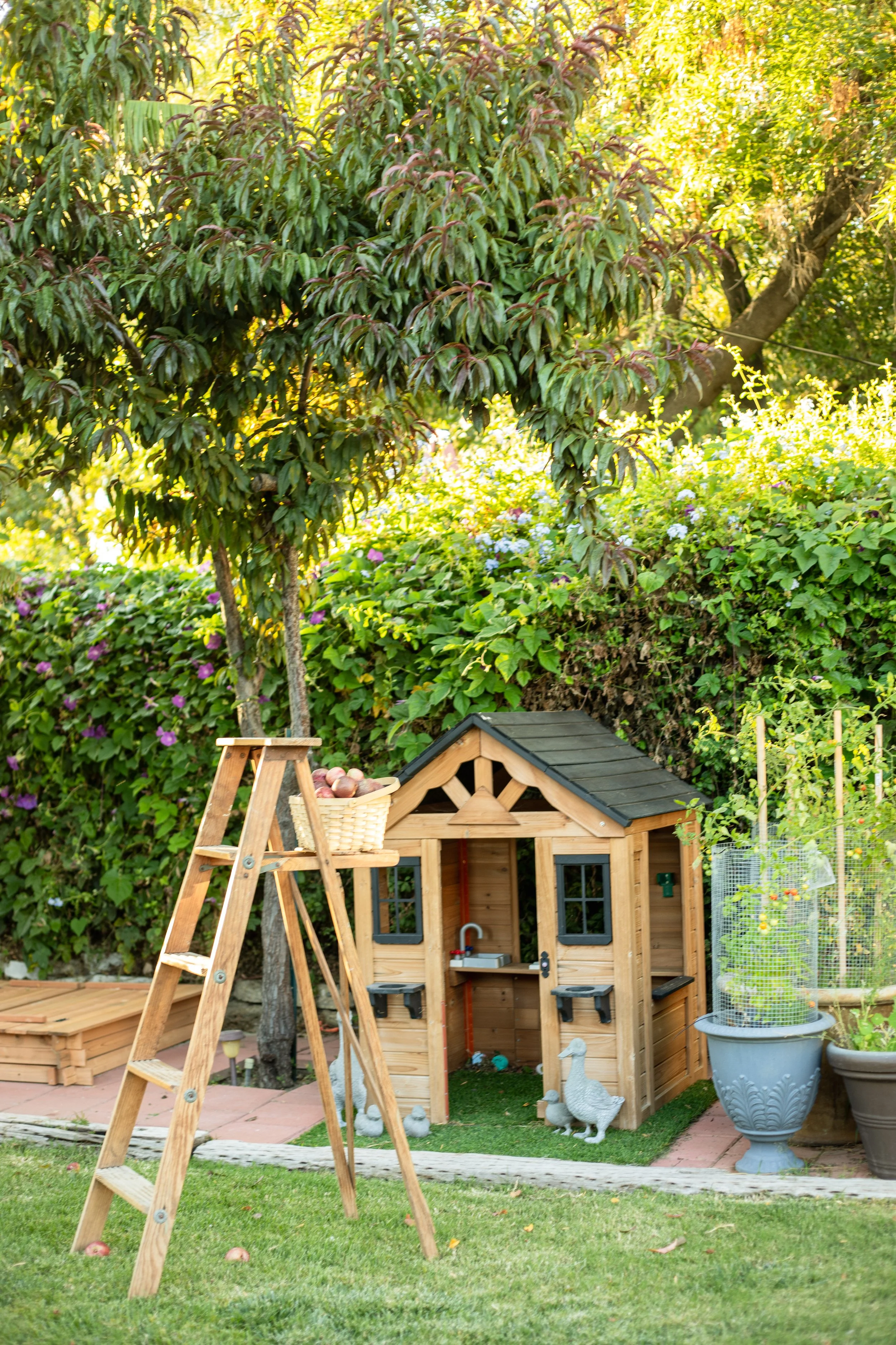 A backyard scene featuring a small wooden playhouse for children, with a artificial lawn and garden elements including a tree, a basket of apples on a step ladder, decorative duck figurines, and a large potted tomato plant in a garden setting with gr