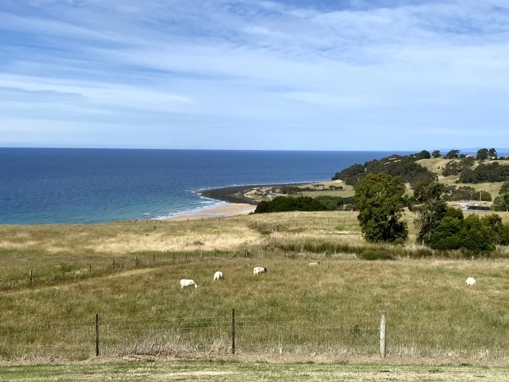 View of Preservation Bay from Seaside Farm | Seaside Farm | Accommodation Penguin Tasmania