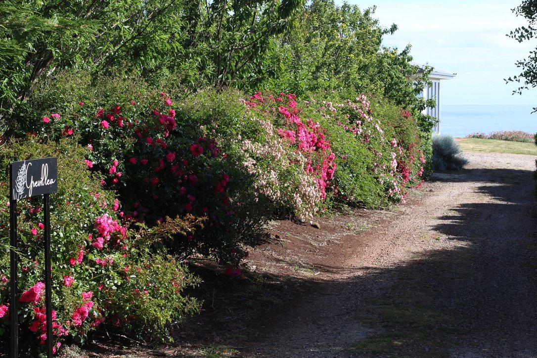 Seaside Farm driveway | Seaside Farm | Accommodation Penguin Tasmania