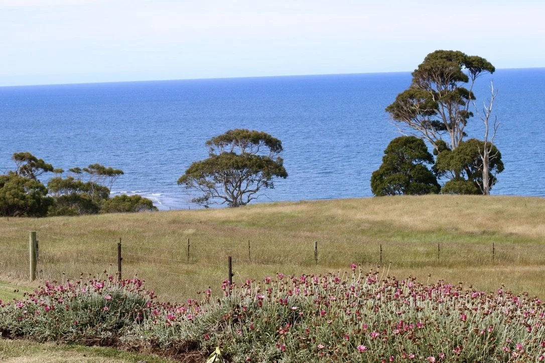 View from cottages | Seaside Farm | Accommodation Penguin Tasmania