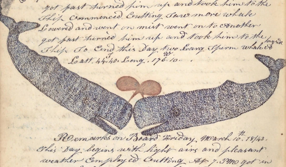 The Writer’s Strike Is Not About A.I. 