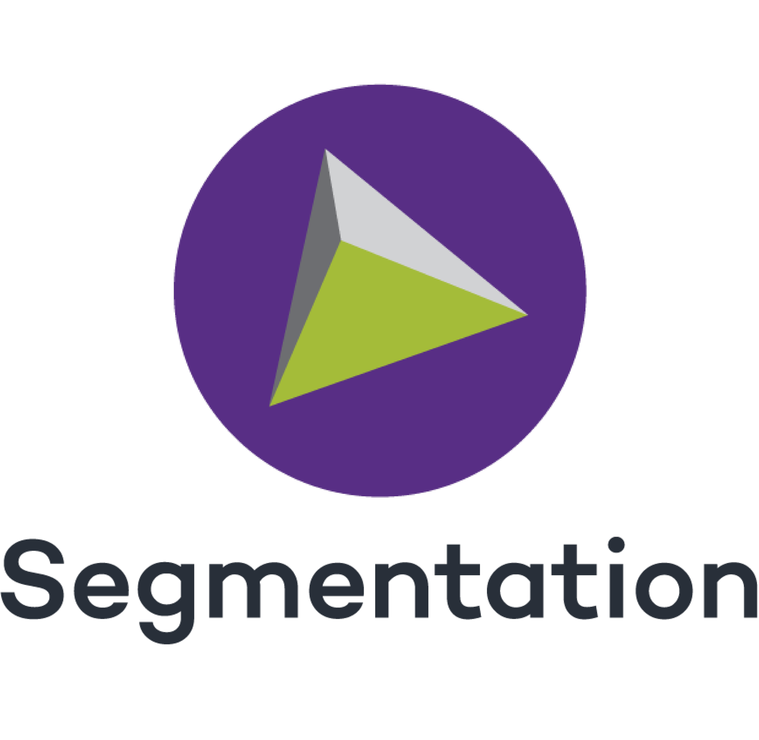 Pie chart illustrating segmentation with four segments in purple, green, light gray, and dark gray, and the word 'Segmentation' written below.