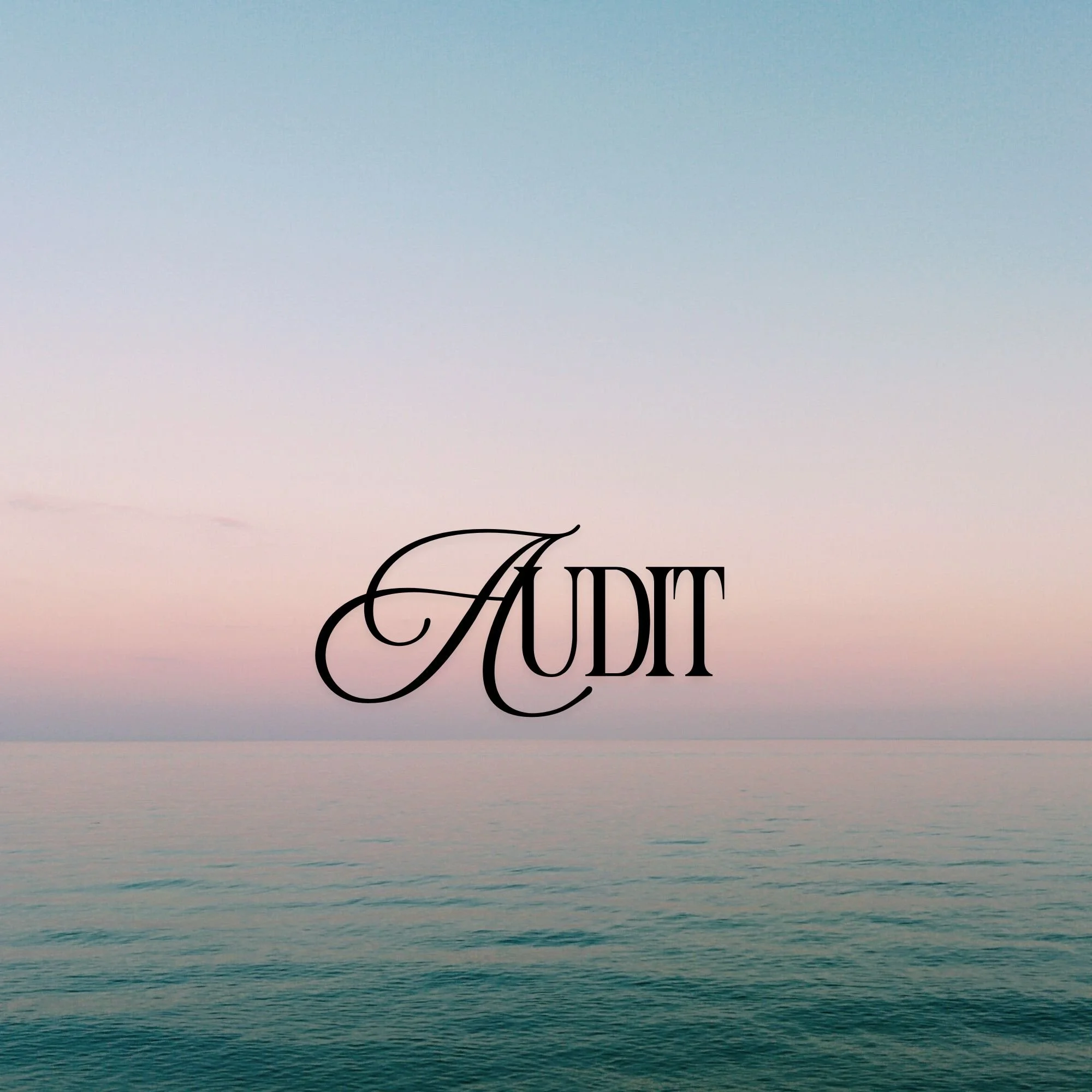 Audit
