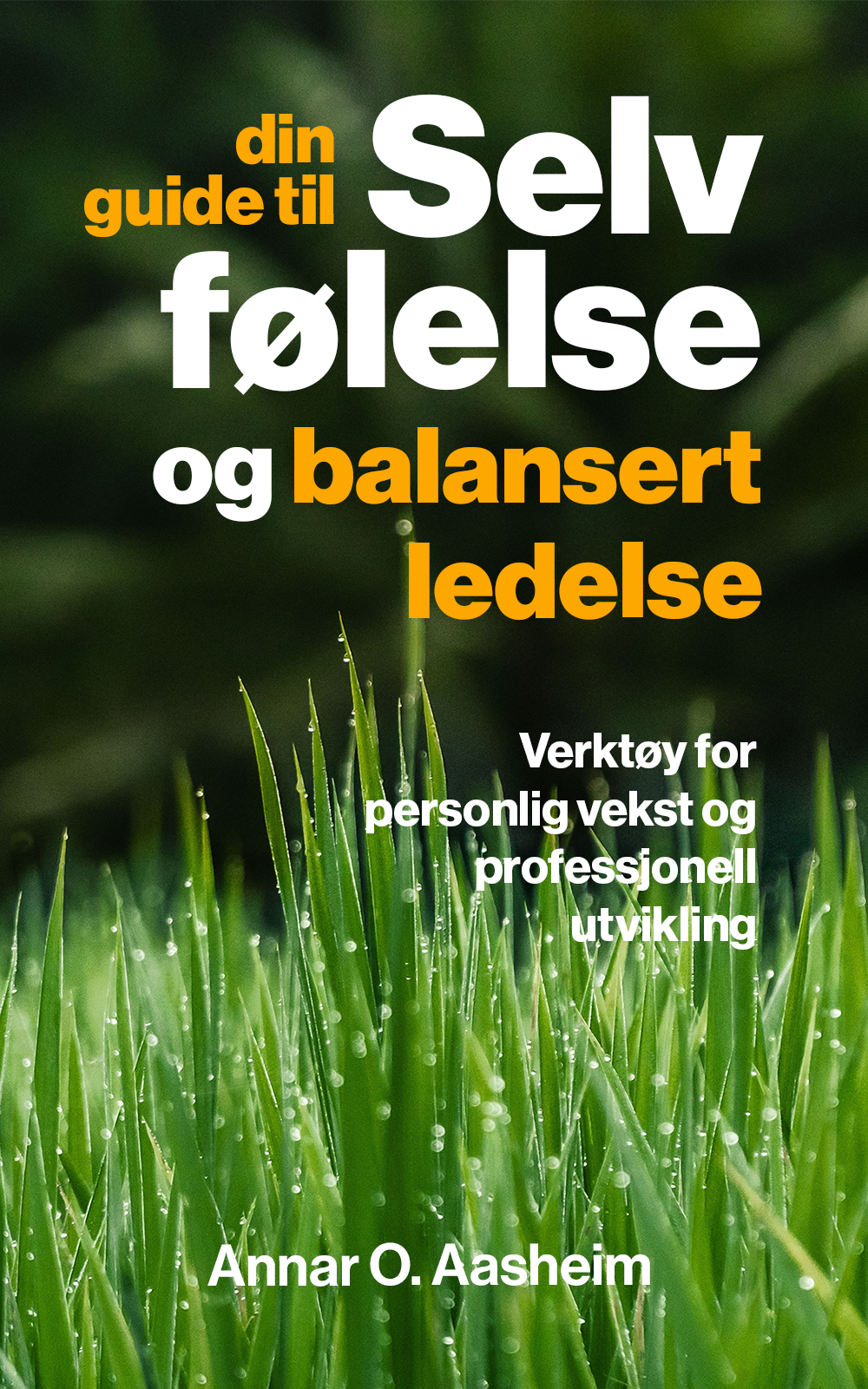 cover_e-bok.png