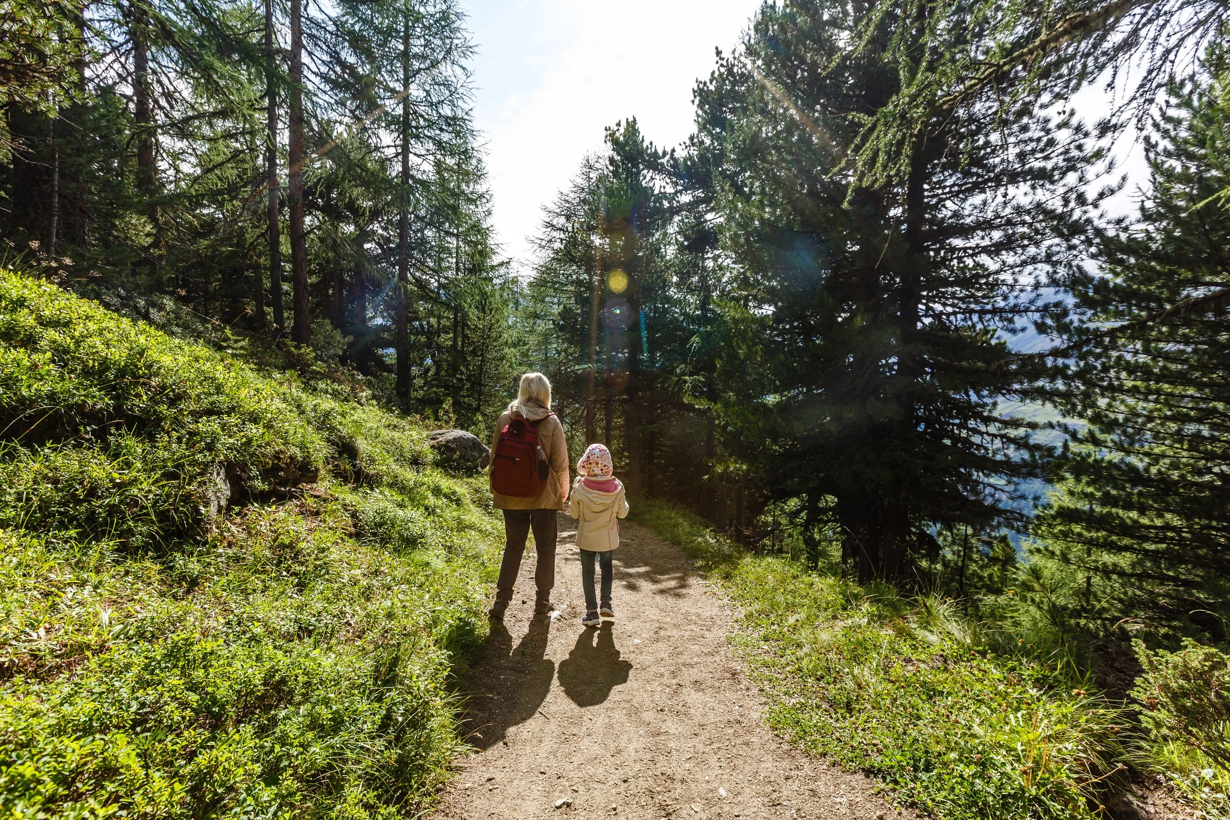 norway_nature_AdobeStock_486704891.jpeg