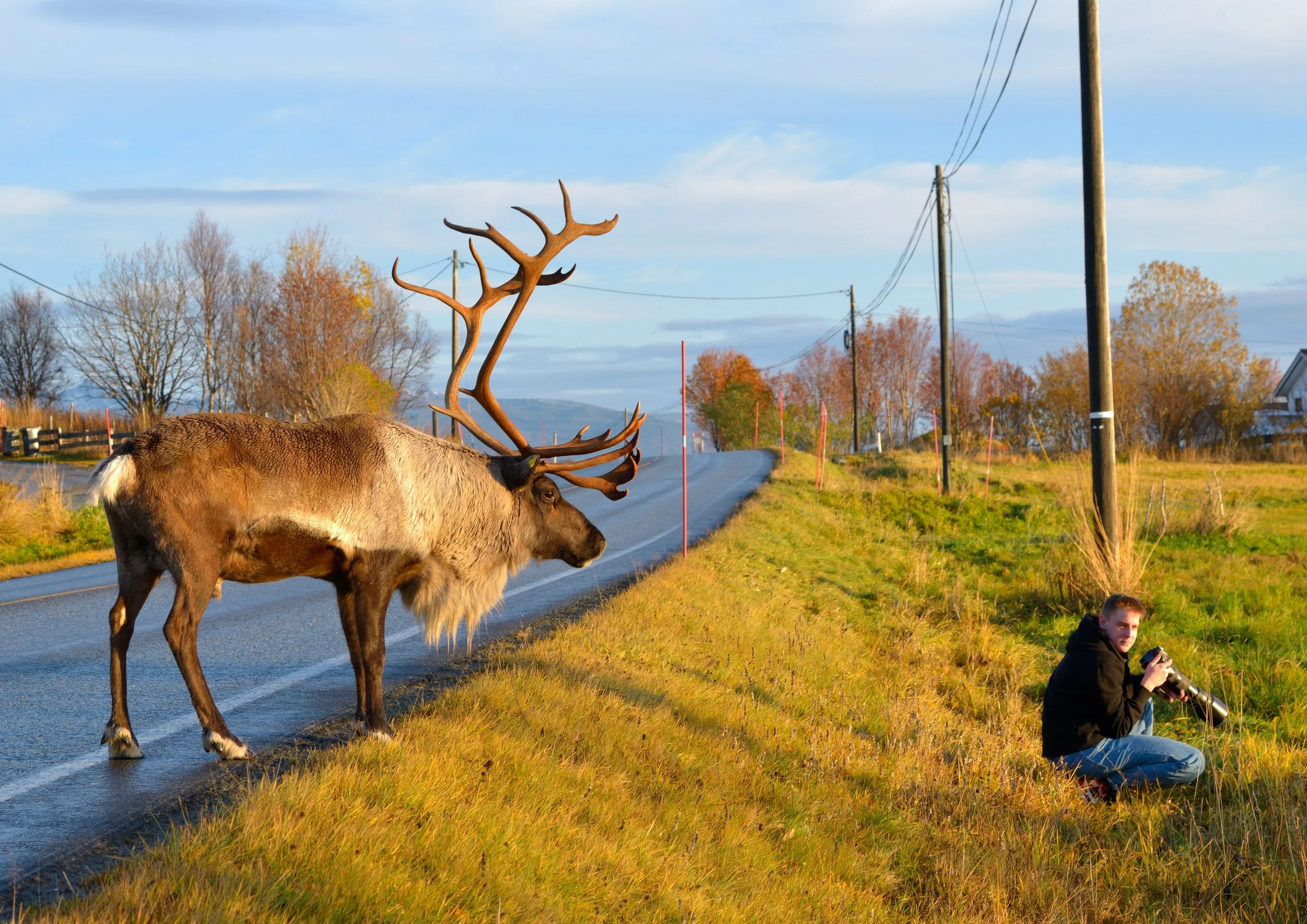 norway_nature_man_stefan-szankowski-Z_RrFm9bRFU-unsplash.jpg