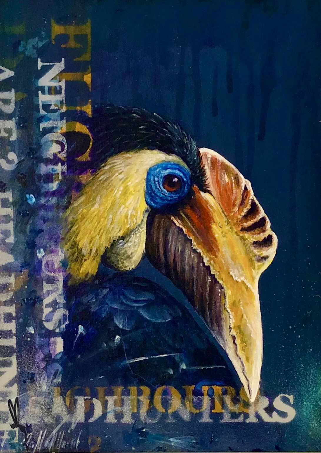 Hornbill art by Sub urban bird artist Tim Niall-Harris - Speyside, Scotland