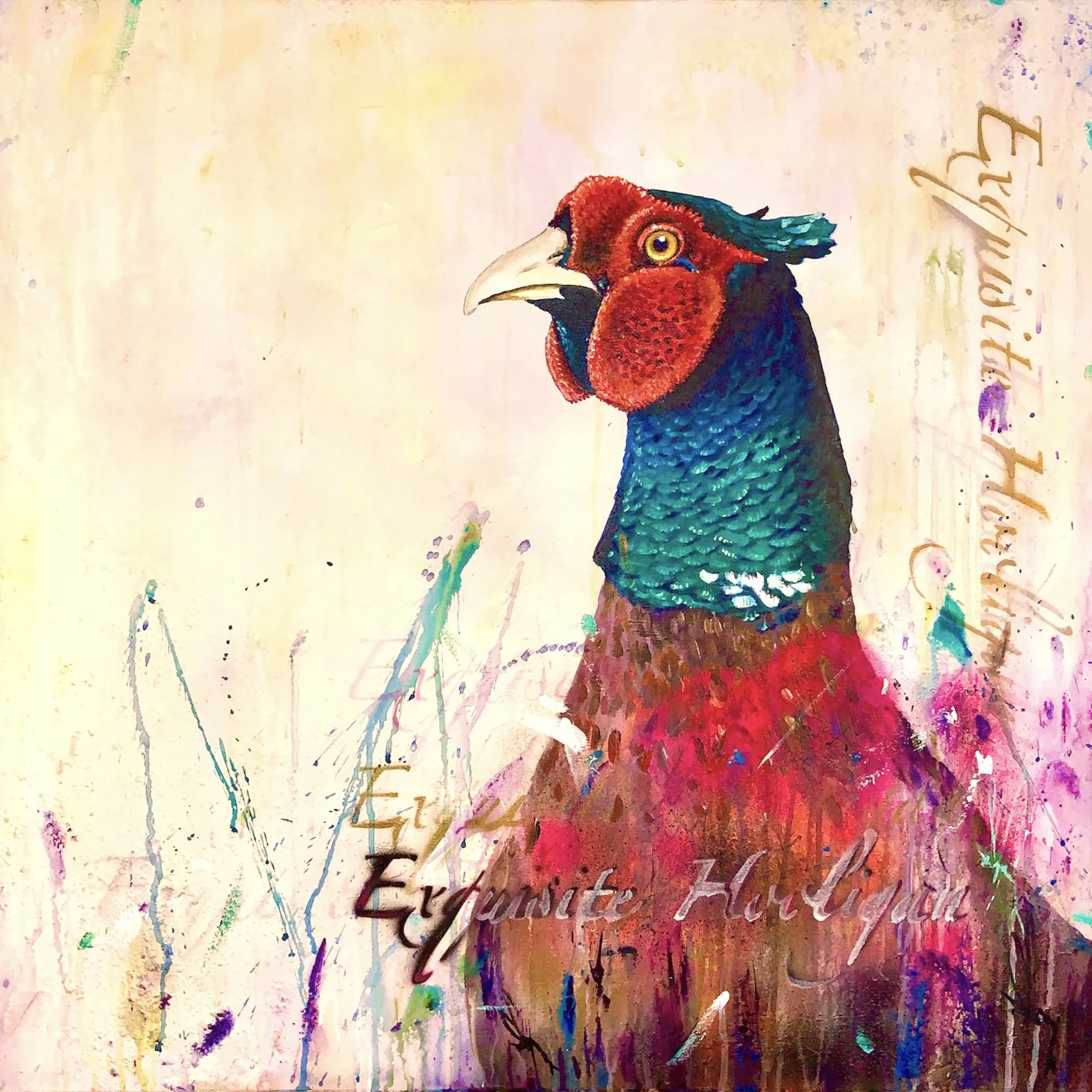 Pheasant art by Sub urban bird artist Tim Niall-Harris - Speyside, Scotland