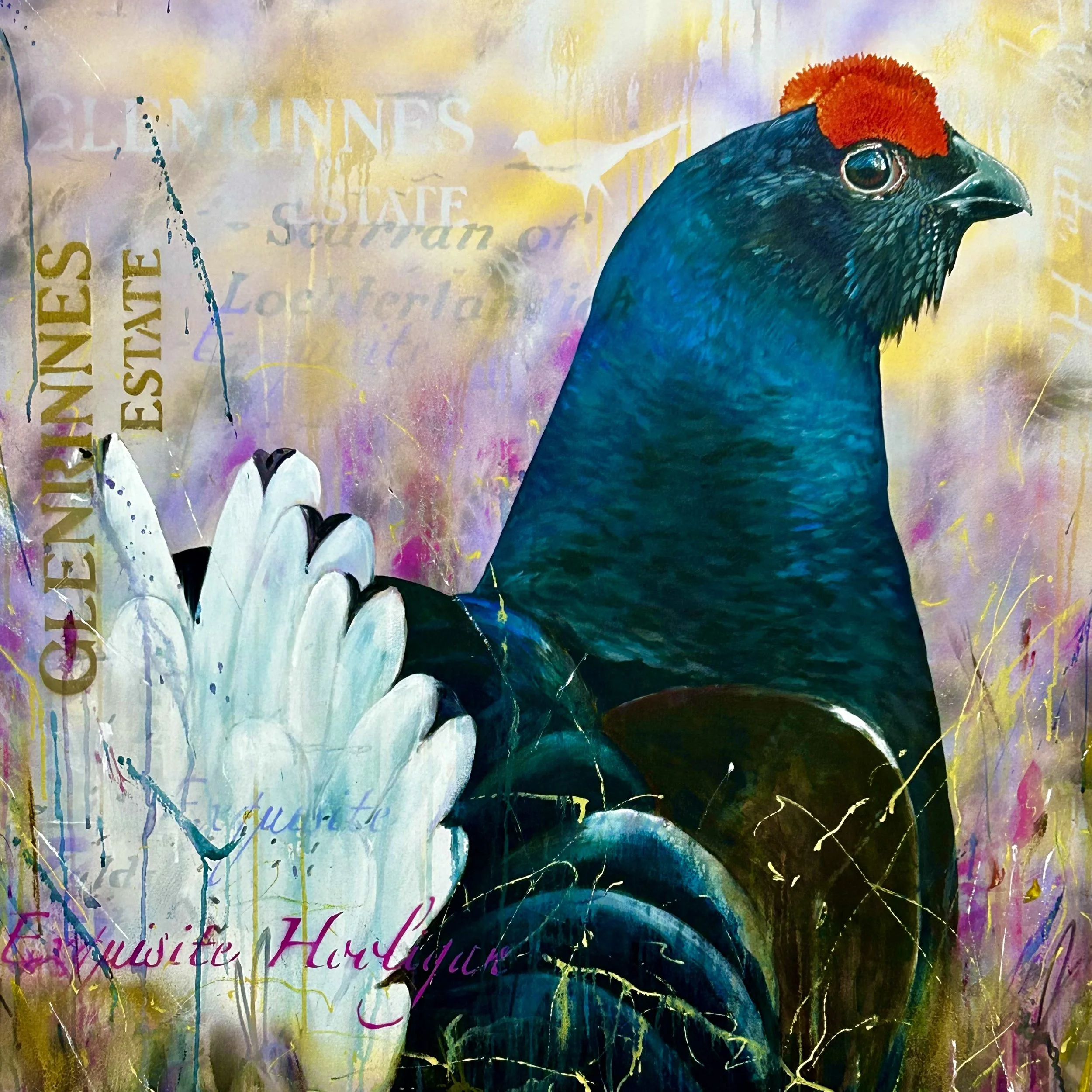 Scottish Black Grouse art by Sub urban bird artist Tim Niall-Harris - Speyside, Scotland