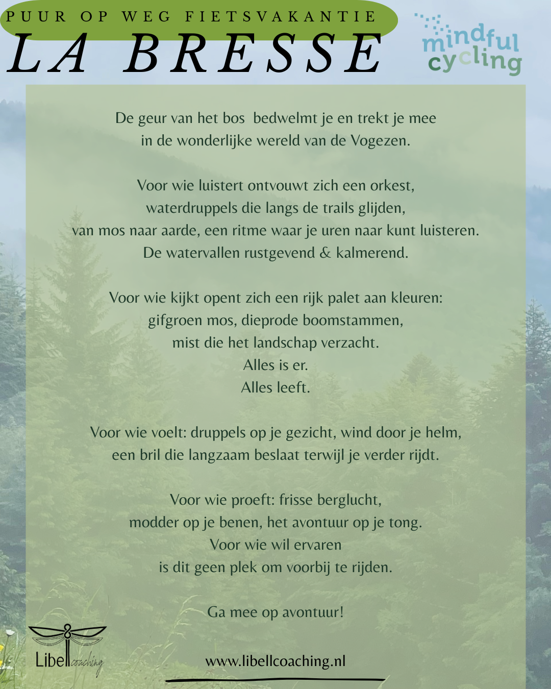 format gedicht mtb.png