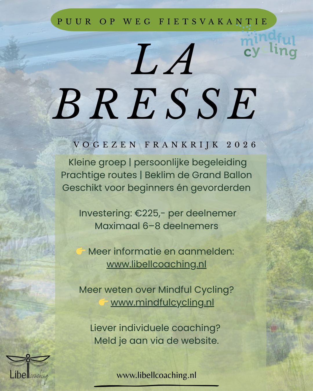 8 race website einde.png