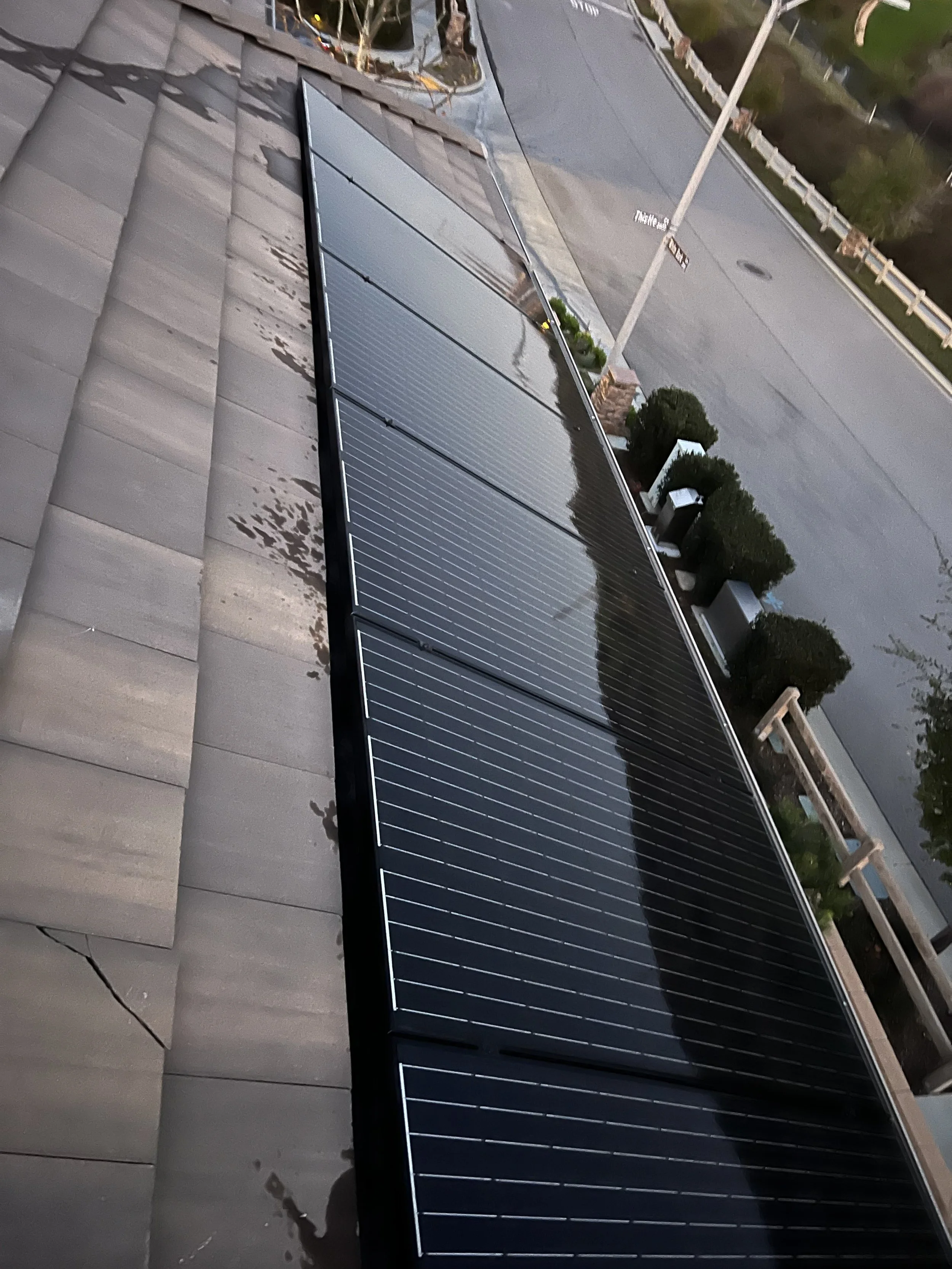 A row of black solar panels installed on a flat surface of a building rooftop with plants and a street visible in the background.