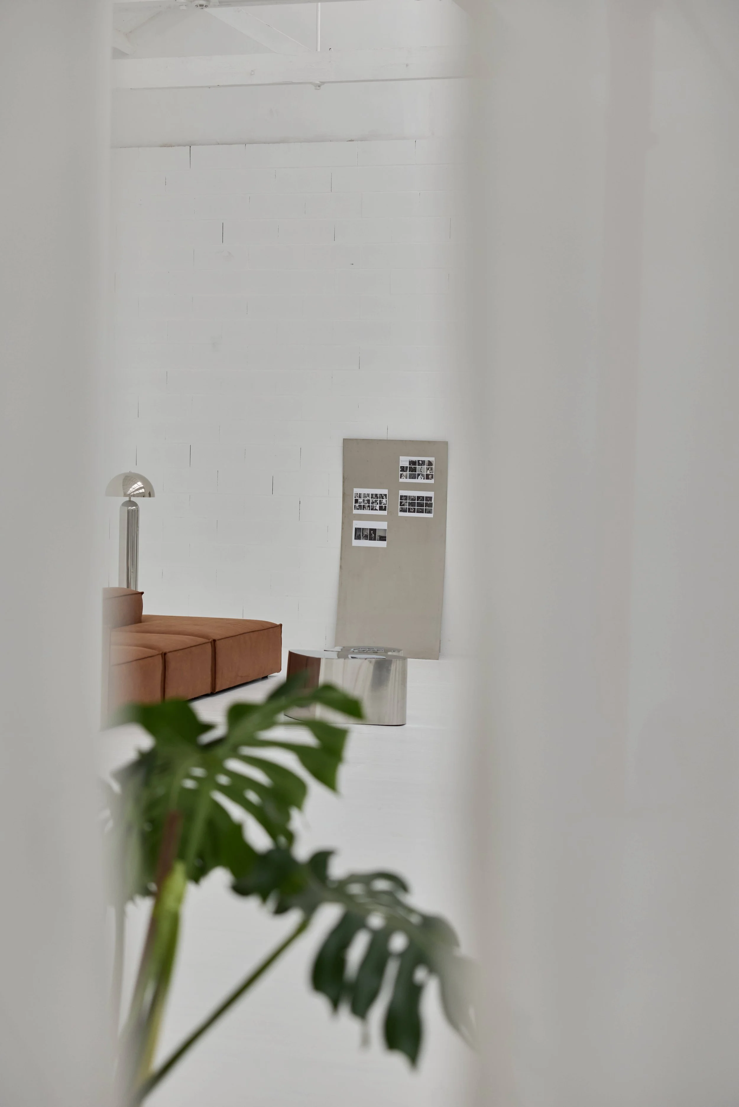 Sala com parede branca, sofá marrom, planta verde em primeiro plano e quadro de fotos na parede ao fundo.