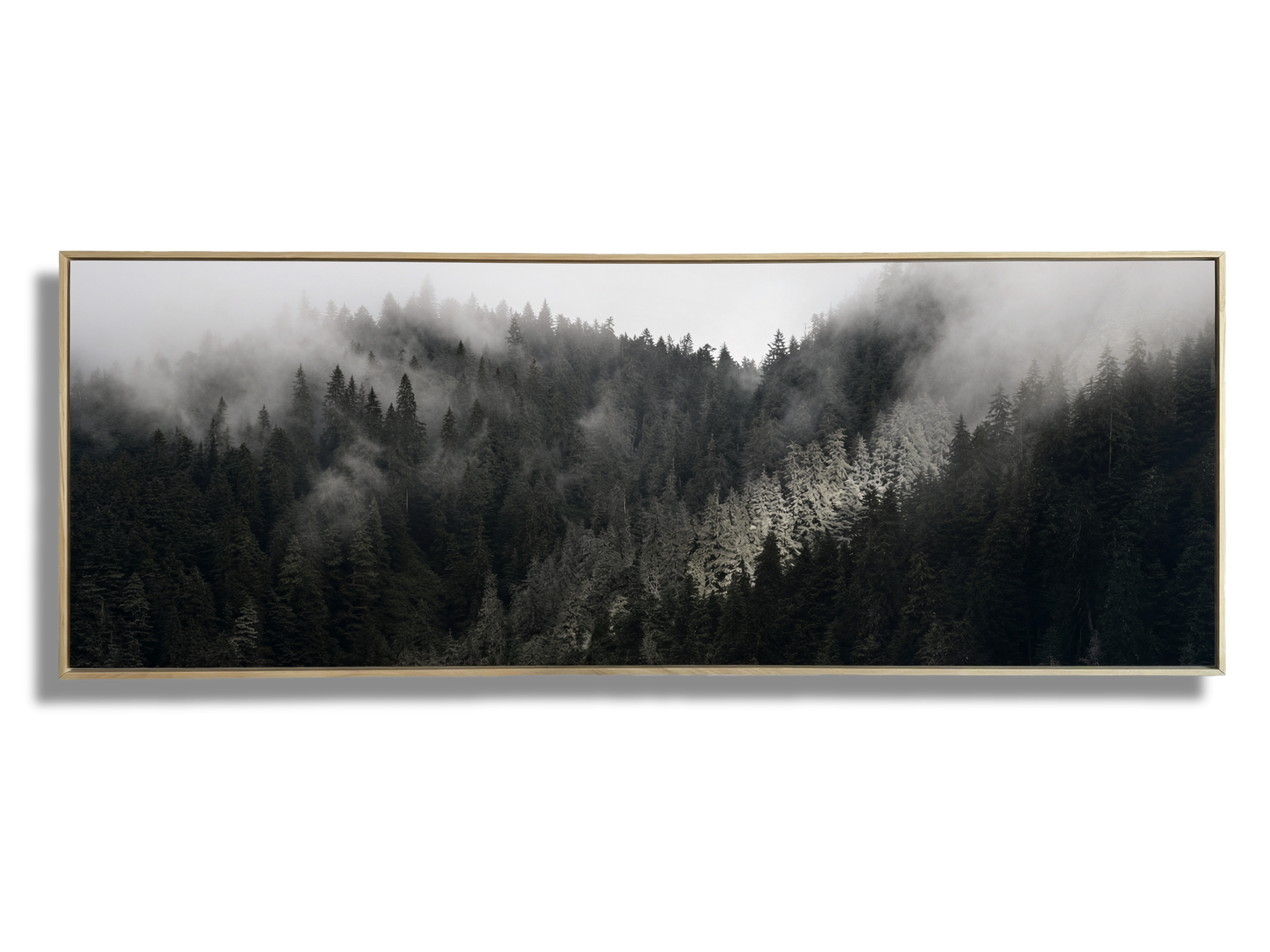 Sunbeam Mist, 60" x 24"