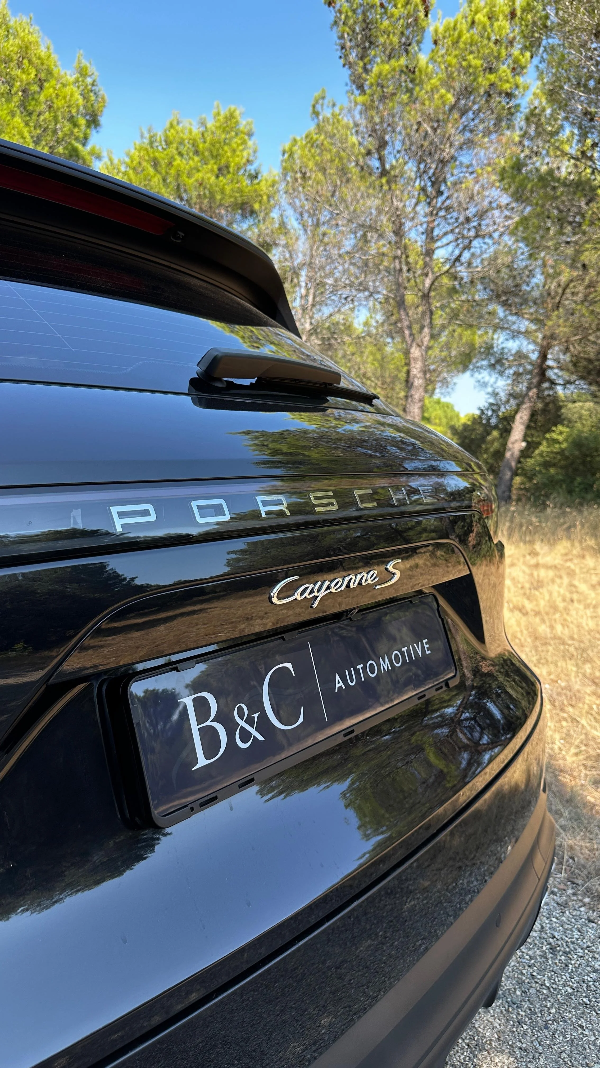 WhatsApp Image 2026-02-20 at 19.27.27.jpeg