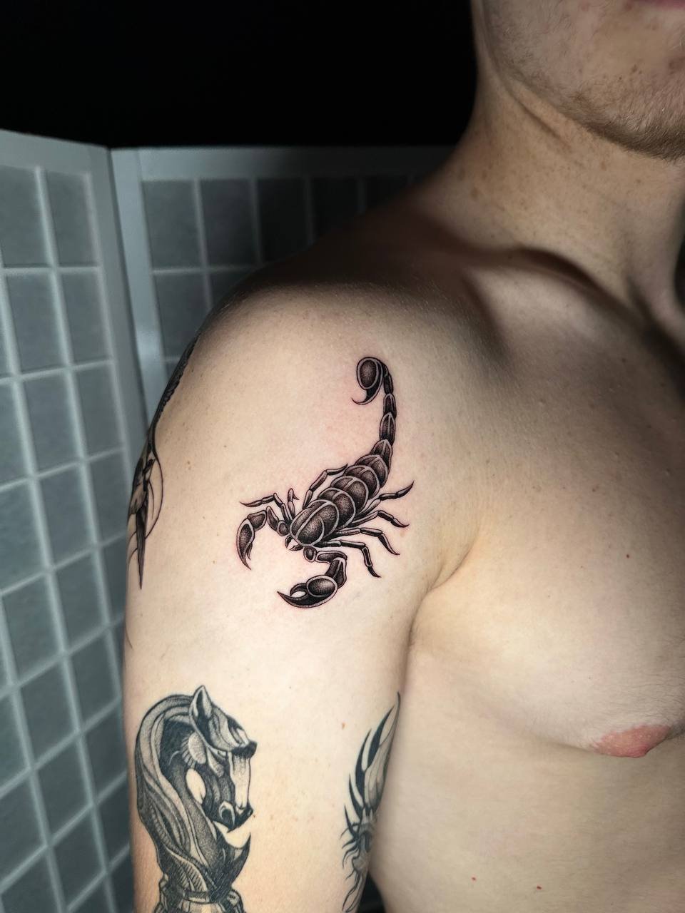 photo_2026-04-03 23.32.35.jpeg