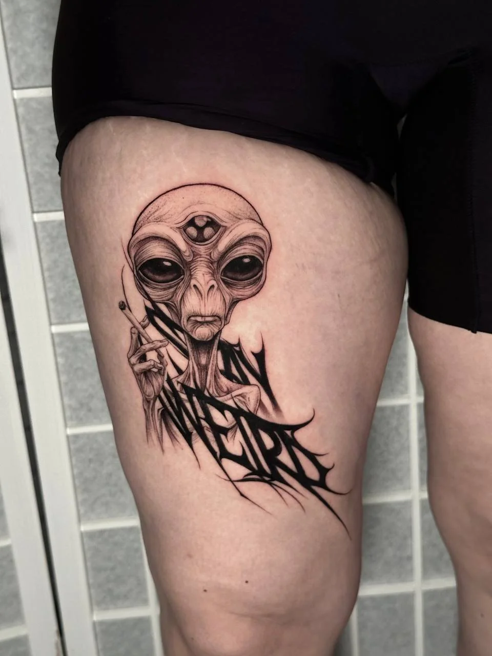 photo_2026-04-03 23.31.08.jpeg