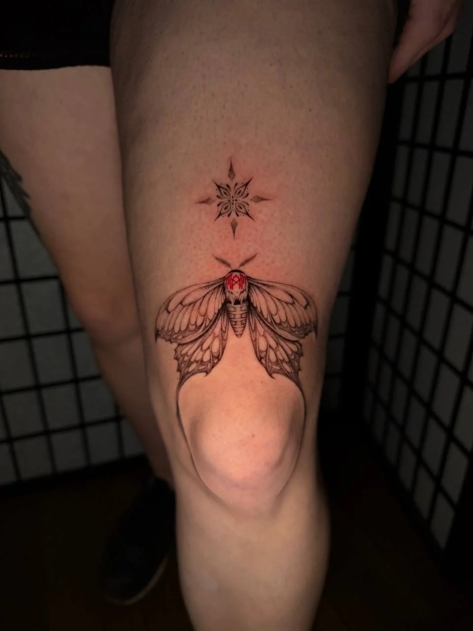 photo_2026-04-03 23.32.56.jpeg