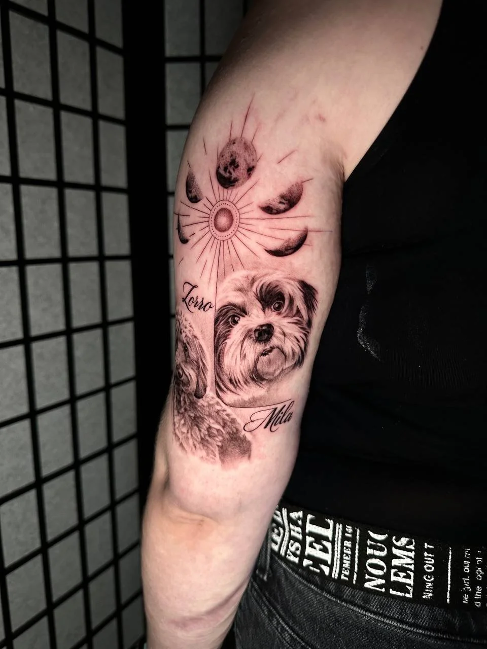 photo_2026-04-03 23.32.47.jpeg