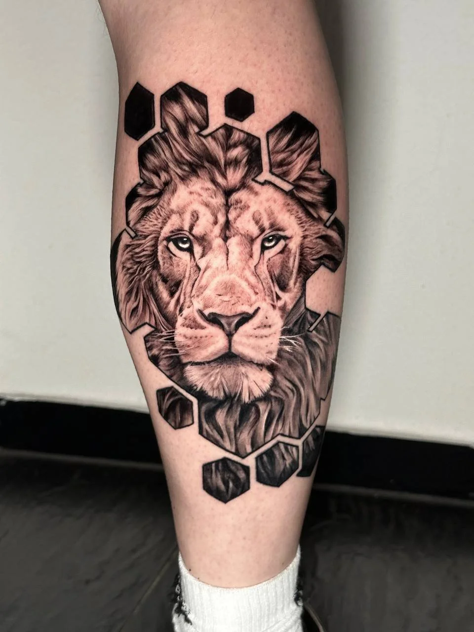 photo_2026-04-03 23.31.14.jpeg