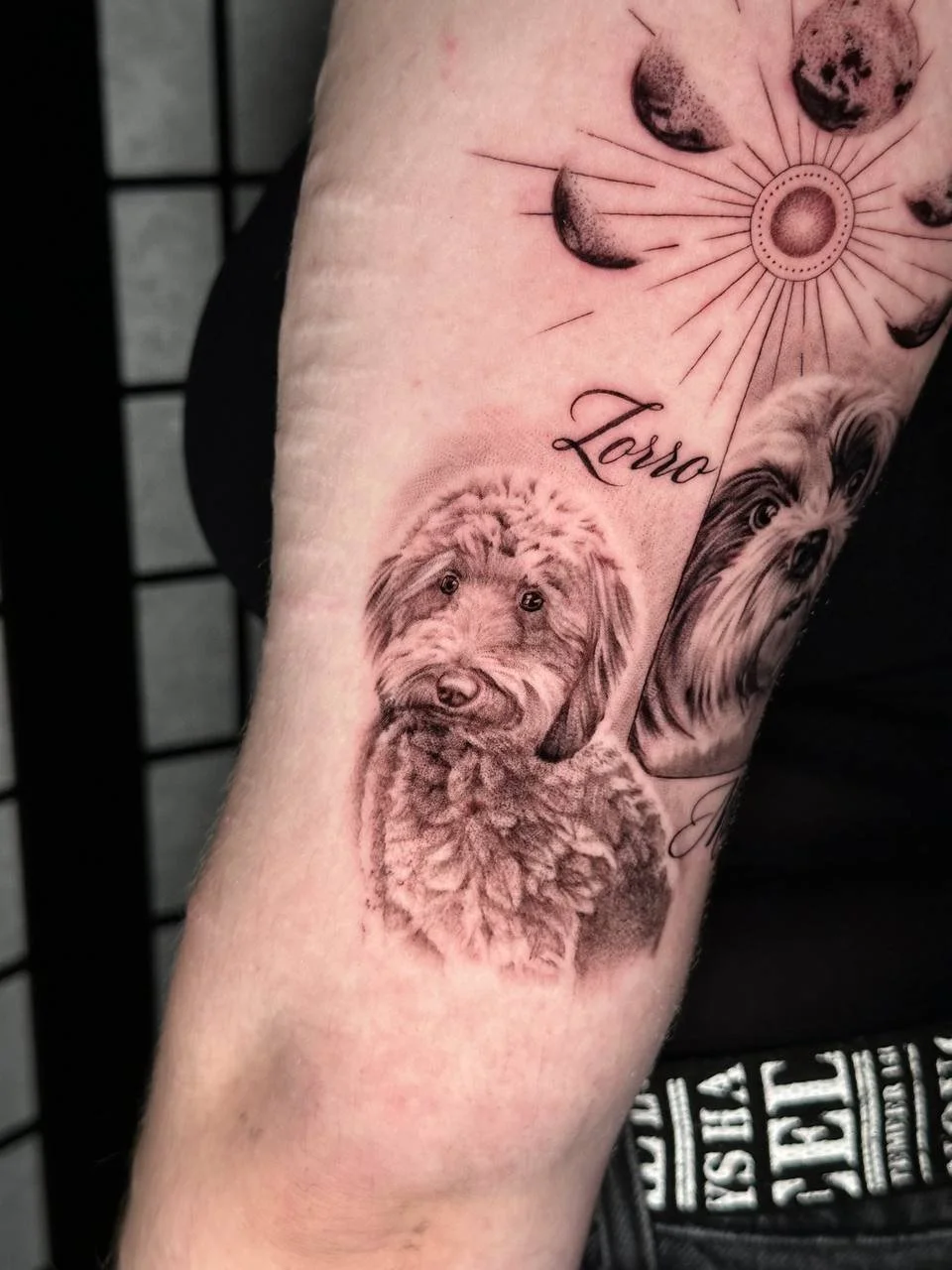 photo_2026-04-03 23.32.49.jpeg