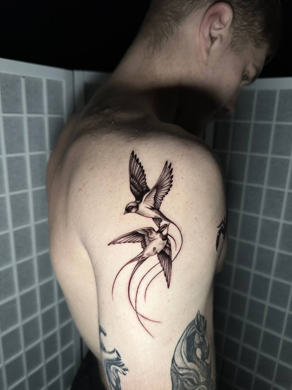 photo_2026-04-03 23.32.37.jpeg