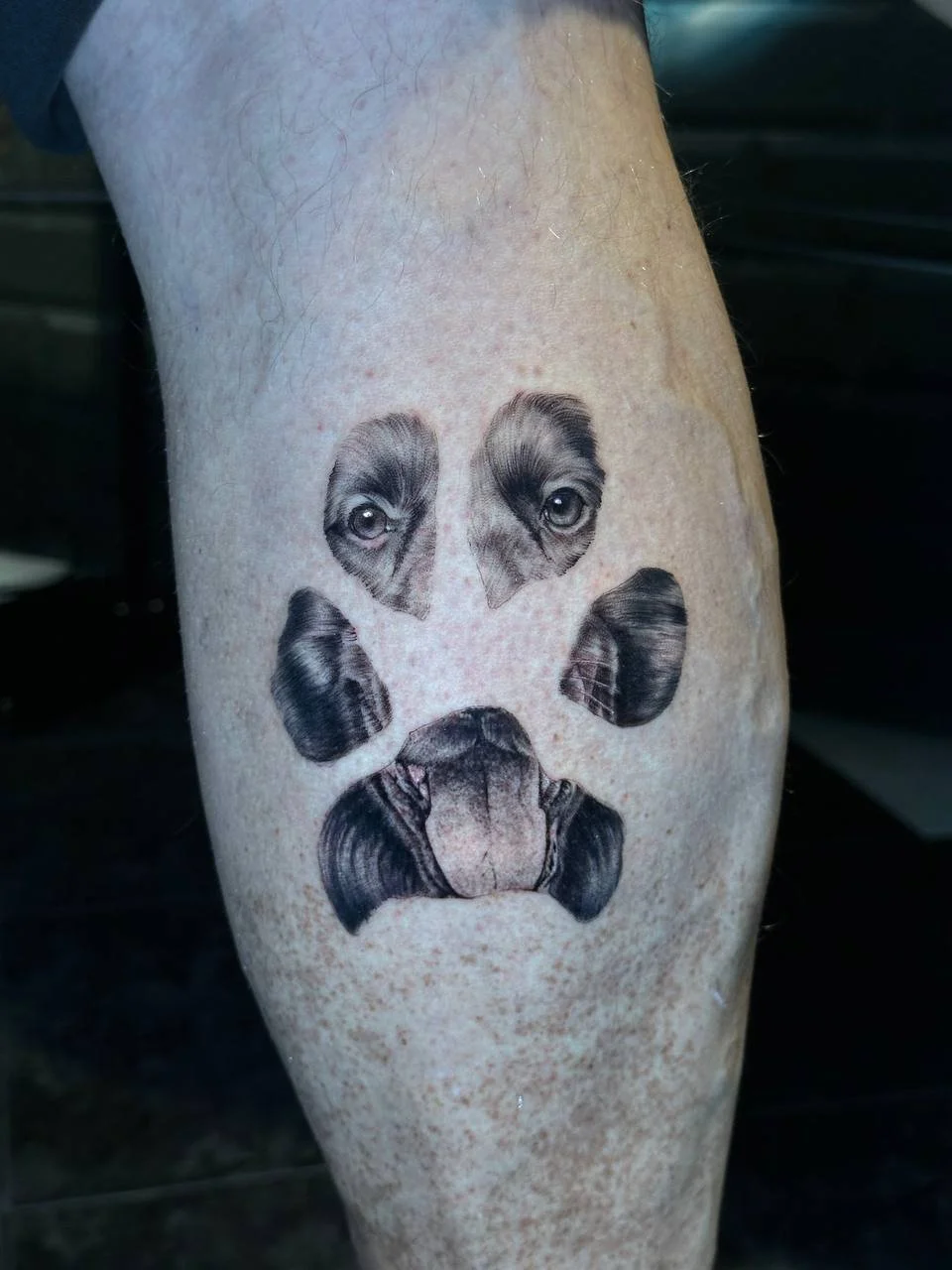 photo_2026-04-03 23.32.30.jpeg