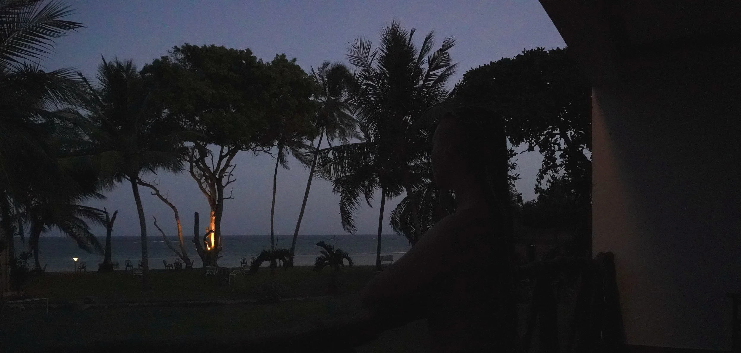 Nighttime view of a tropical beach with silhouettes of palm trees and a person sitting on a balcony.