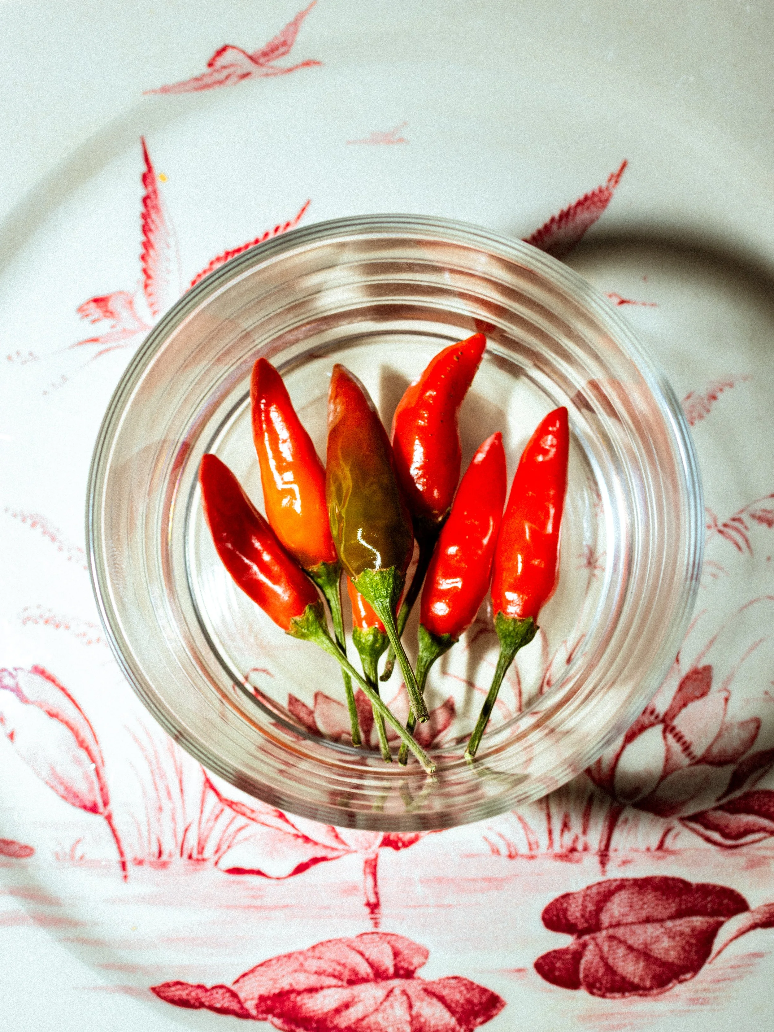 Producteur piments bio Alpes Maritimes