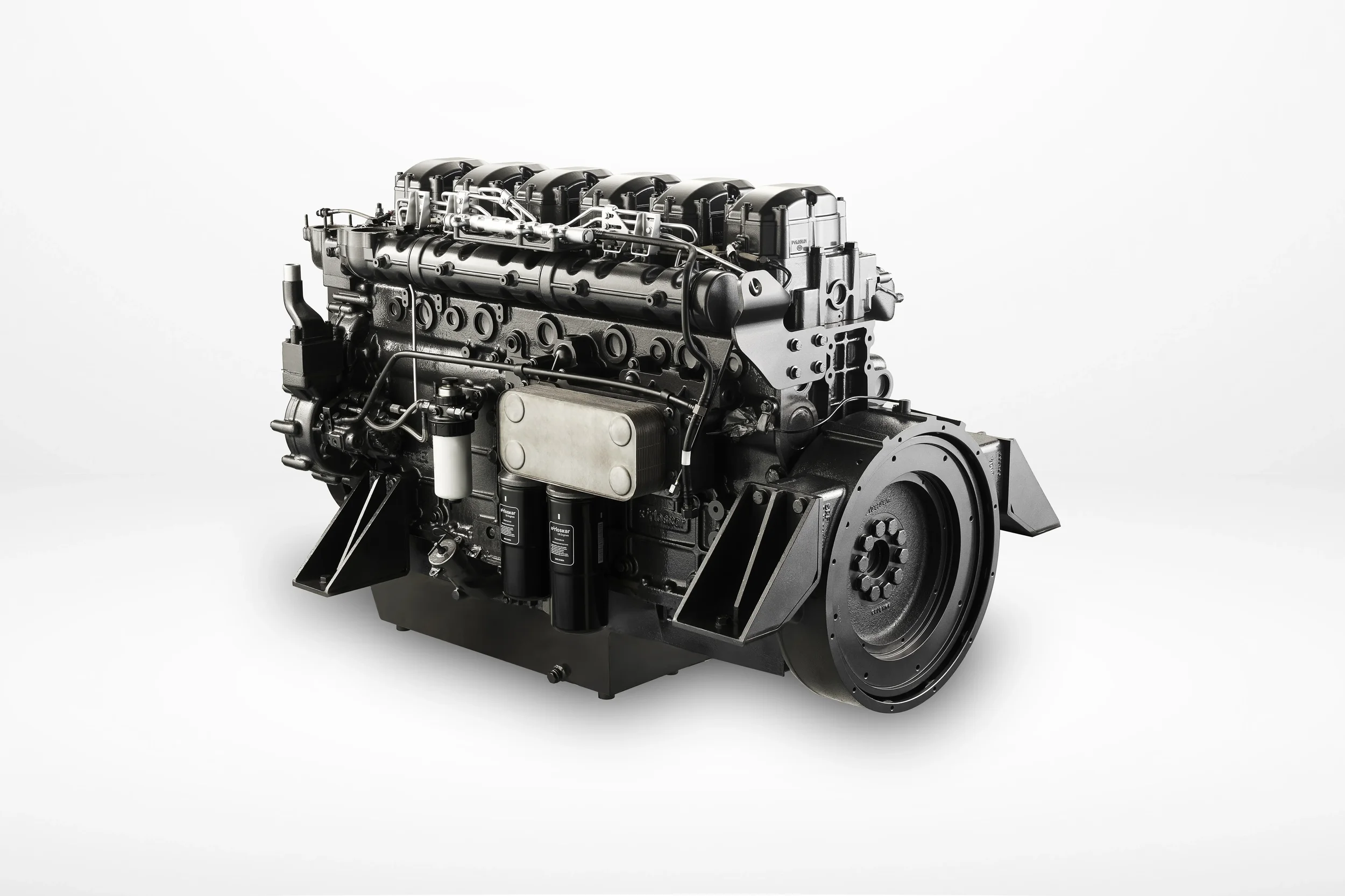 KOEL_Nov_24a_0178 1 copy.webp