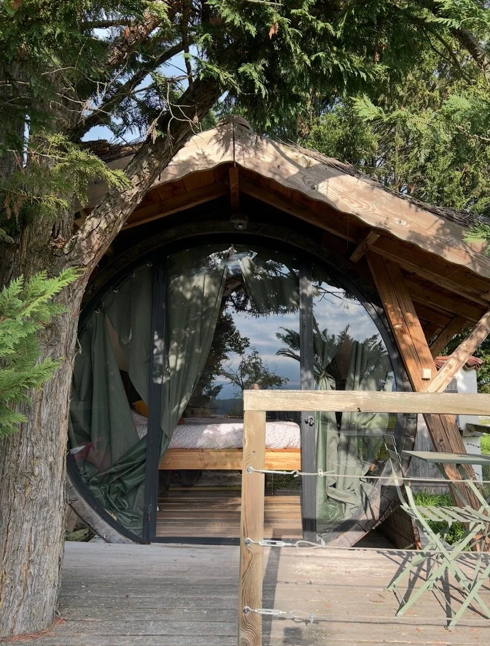Une cabane ronde en bois avec un grand mur en verre, entourée d'arbres verts, avec une terrasse en bois et des rideaux verts à l’intérieur.