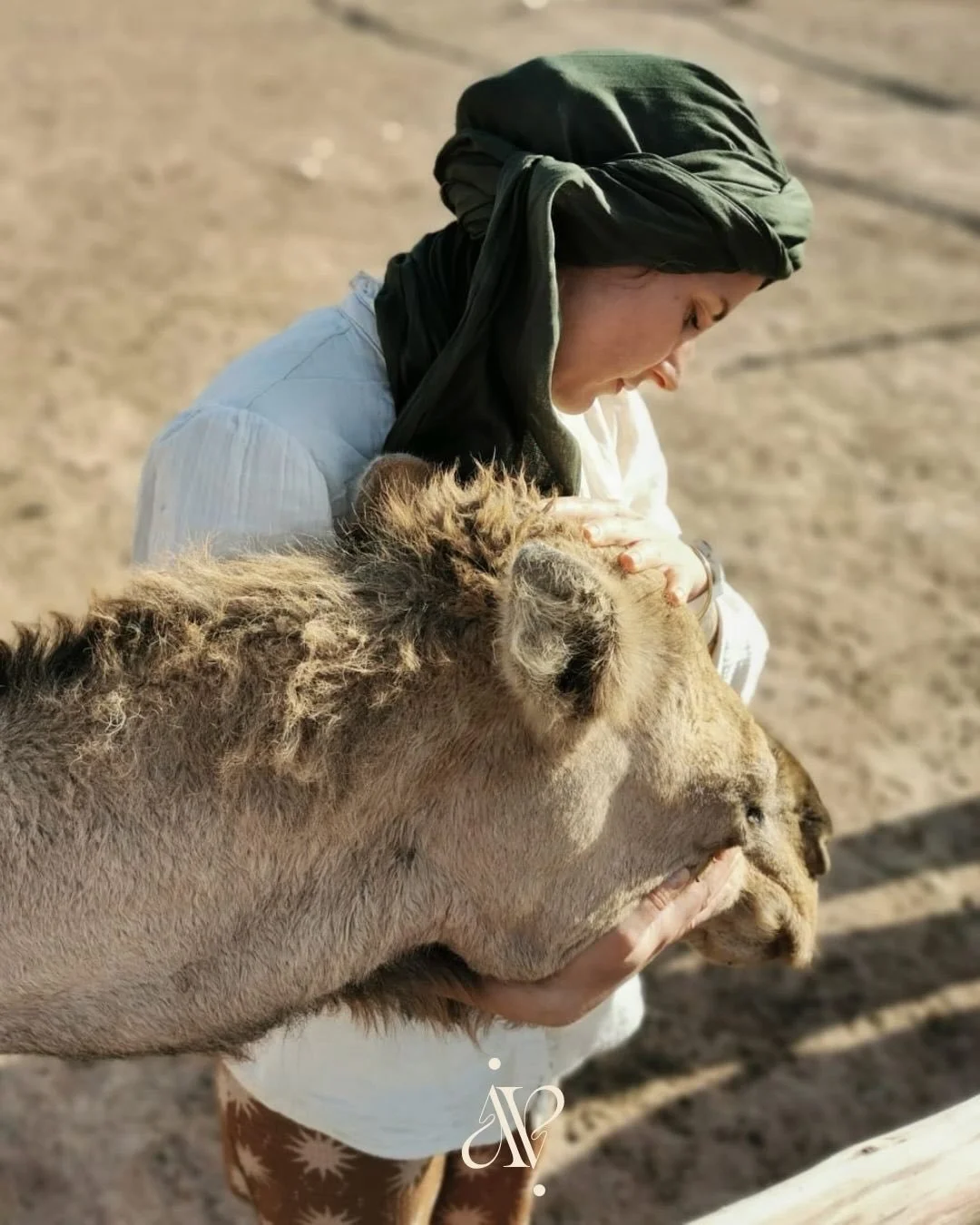 | On ne parle pas assez de cette fatigue-l&agrave;.

Celle qui ne se voit pas.
Celle qui ne fait pas de bruit.
Celle des personnes qui continuent d&rsquo;assurer&hellip; m&ecirc;me quand elles sont &eacute;puis&eacute;es.

Peut-&ecirc;tre que tu es d