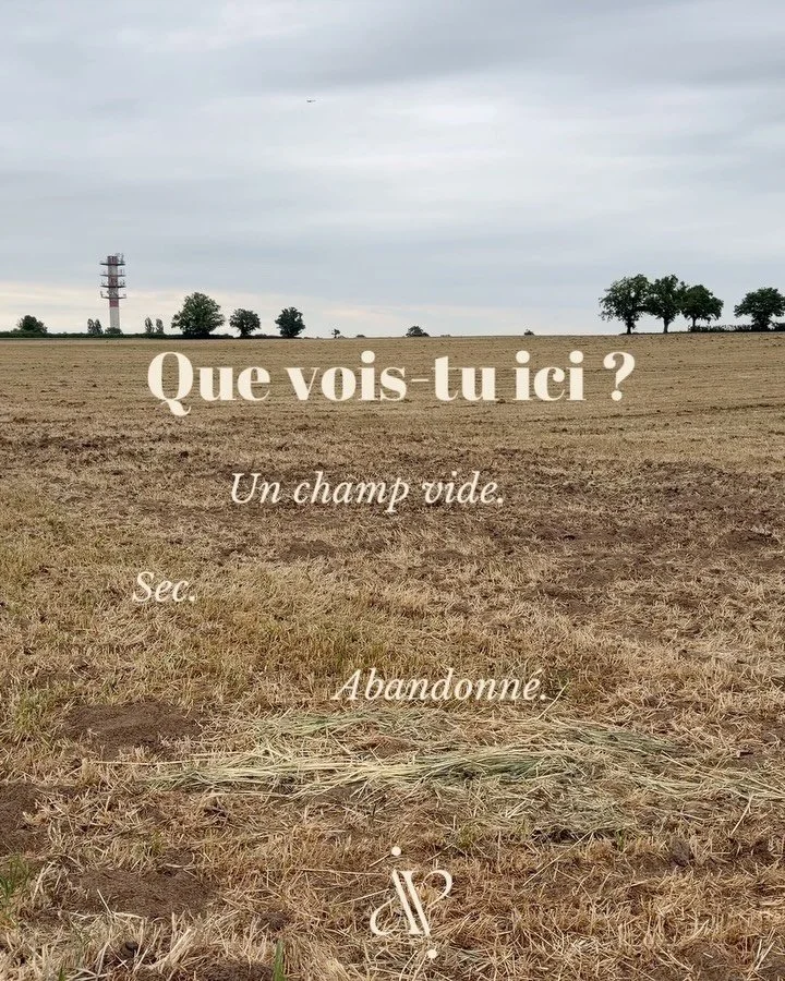 | On voit parfois notre vie comme un champs vide. Aride. Sans autres possibilit&eacute;s. 

Alors qu&rsquo;en r&eacute;alit&eacute;&hellip;
certaines terres ont simplement besoin d&rsquo;&ecirc;tre vue et nourries autrement.

* 

Je crois profond&eac
