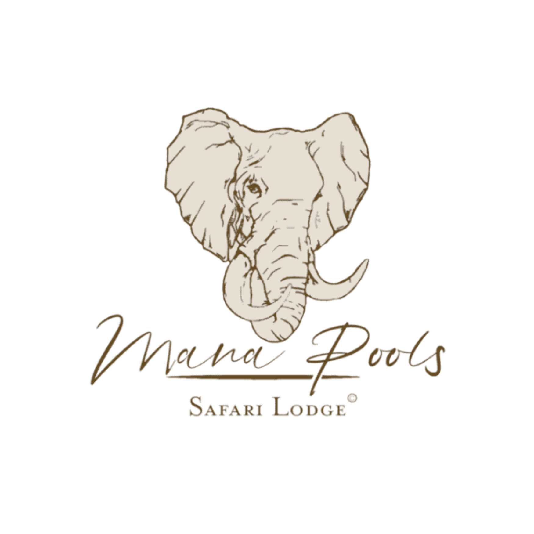 Logo for Mama Pools Safari Lodge featuring a detailed illustration of an elephant's head with the text 'Mama Pools' in cursive and 'Safari Lodge' below in serif font.